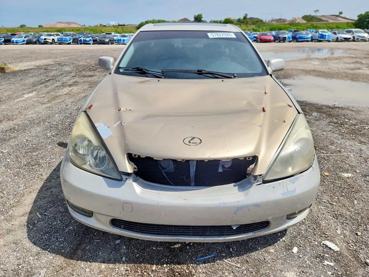 2002 Lexus Es 300 Gold vin: JTHBF30G920043047