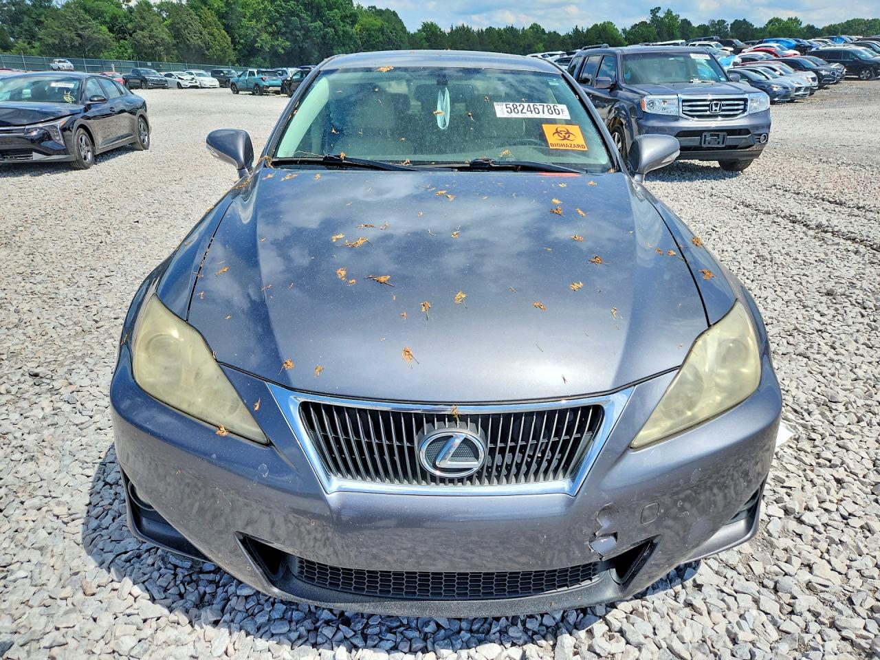 2012 Lexus Is 250 Gray vin: JTHBF5C23C5159554