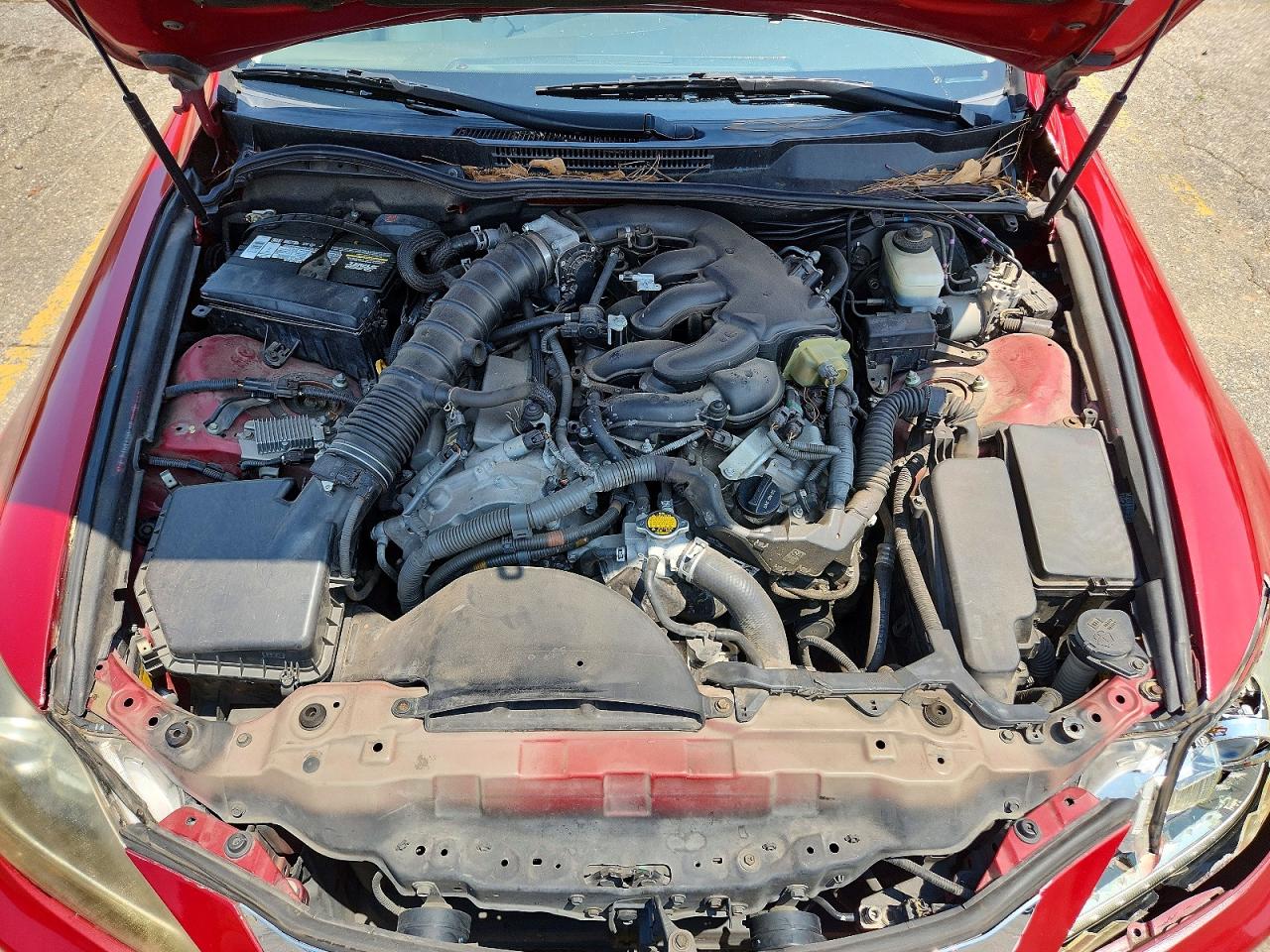 2011 Lexus Is 250 Red vin: JTHBF5C24B2101226
