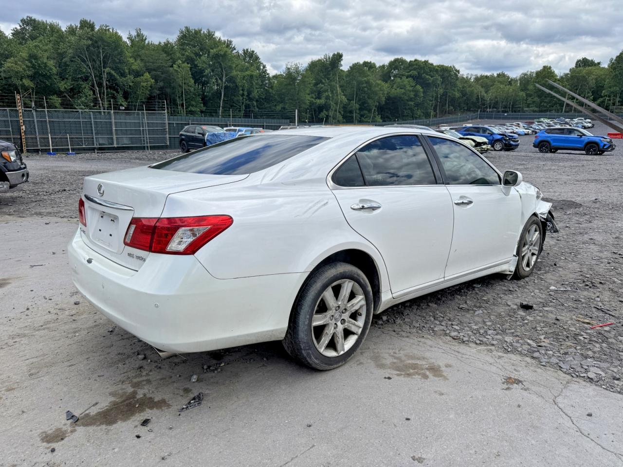 2009 Lexus Es 350 Белый vin: JTHBJ46G092339164