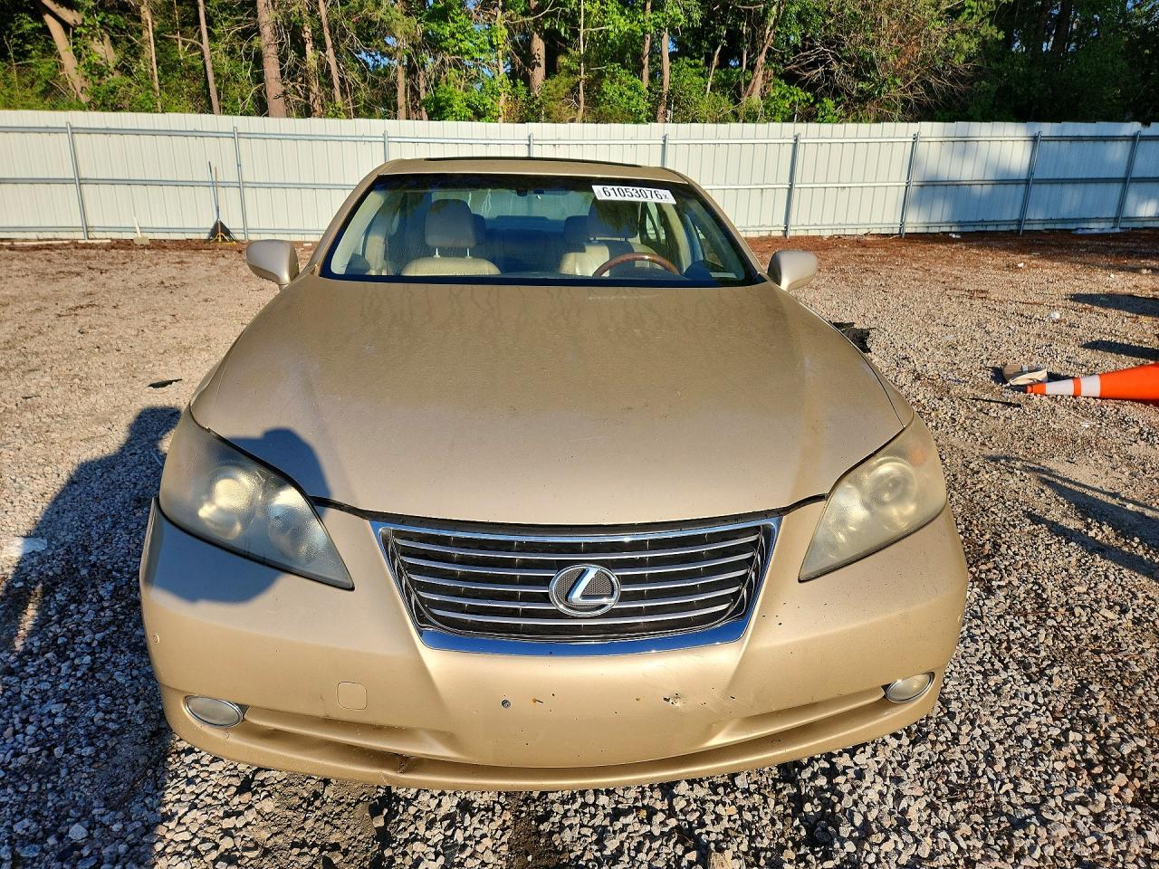 2009 Lexus Es 350 Gold vin: JTHBJ46G192335639