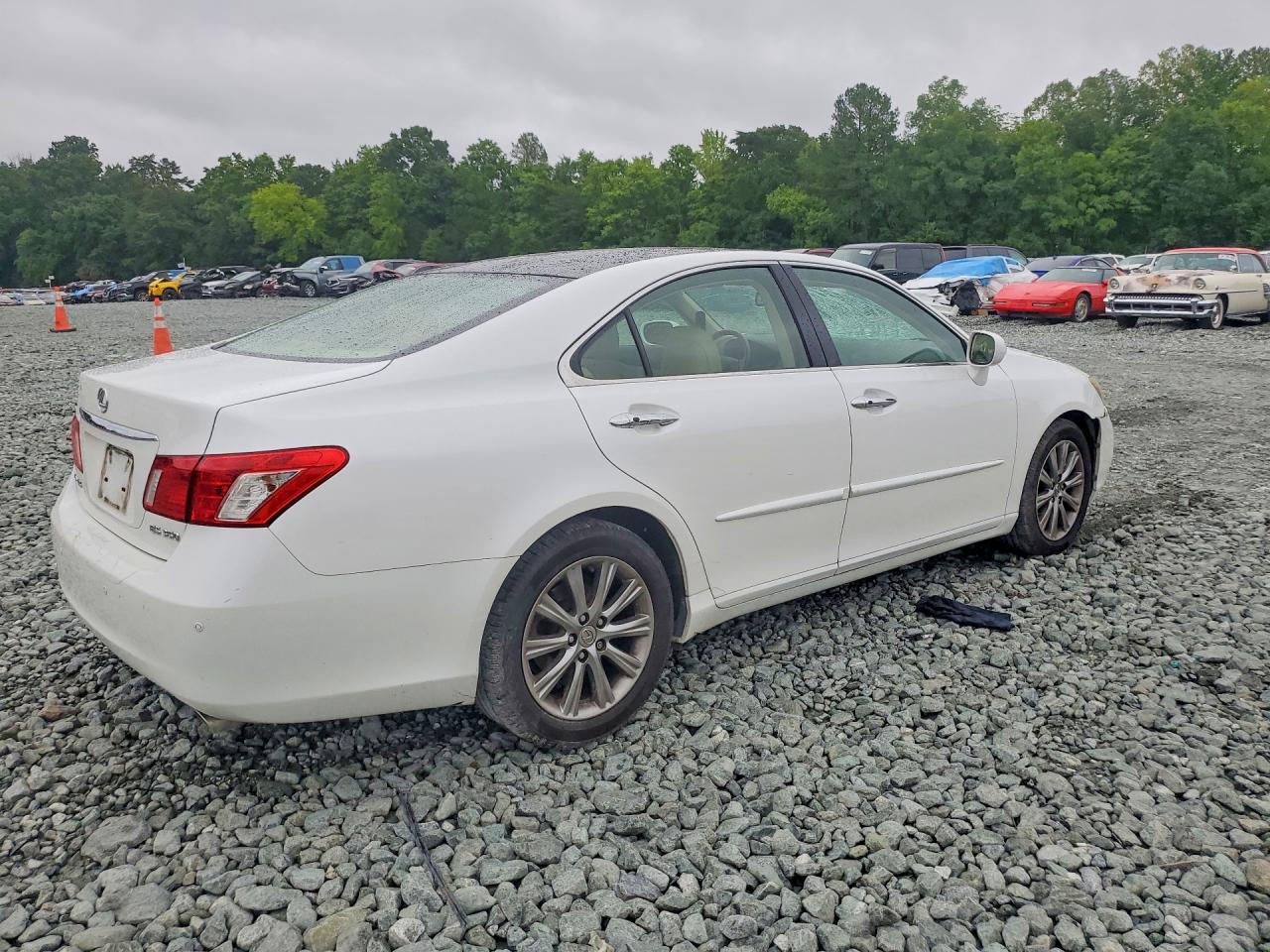 2009 Lexus Es 350 Белый vin: JTHBJ46G392322813
