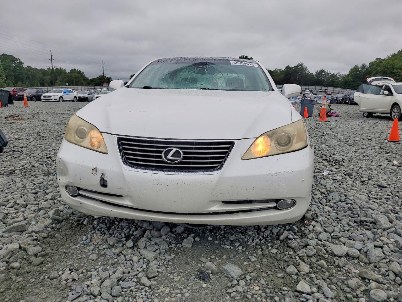 2009 Lexus Es 350 Белый vin: JTHBJ46G392322813