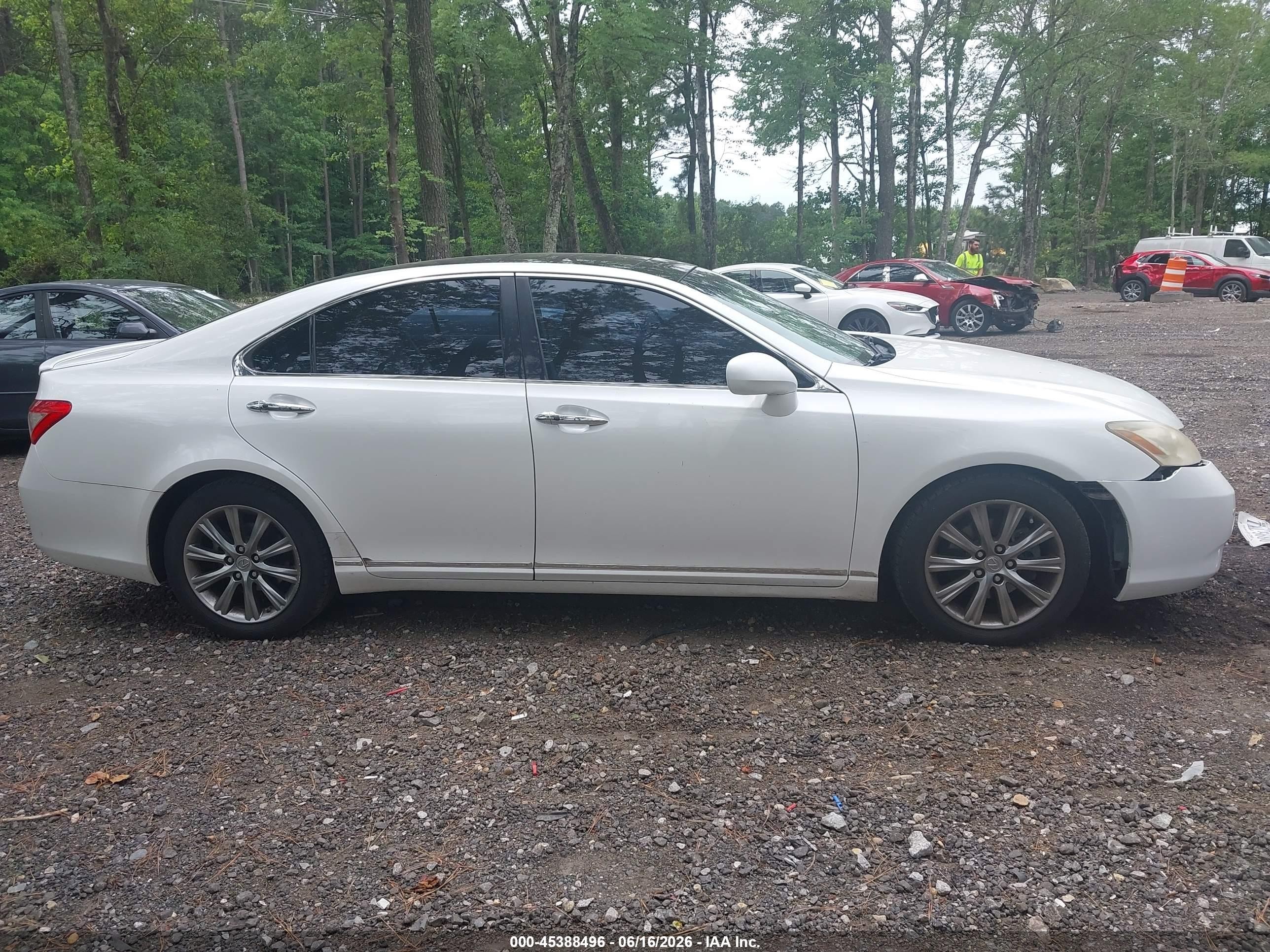 2009 Lexus Es 350   Белый vin: JTHBJ46G492333786