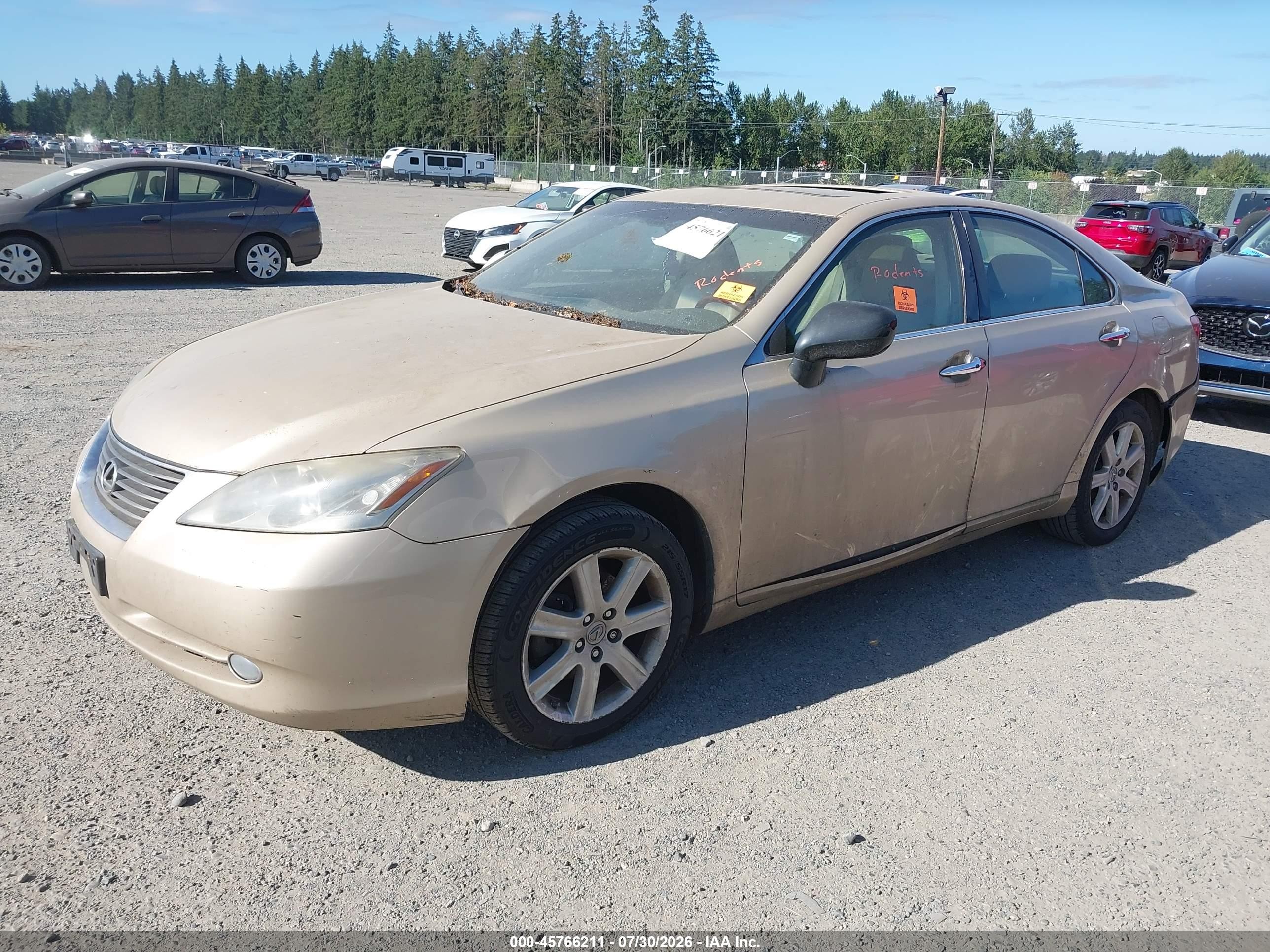 2007 Lexus Es 350   Gold vin: JTHBJ46G572035812