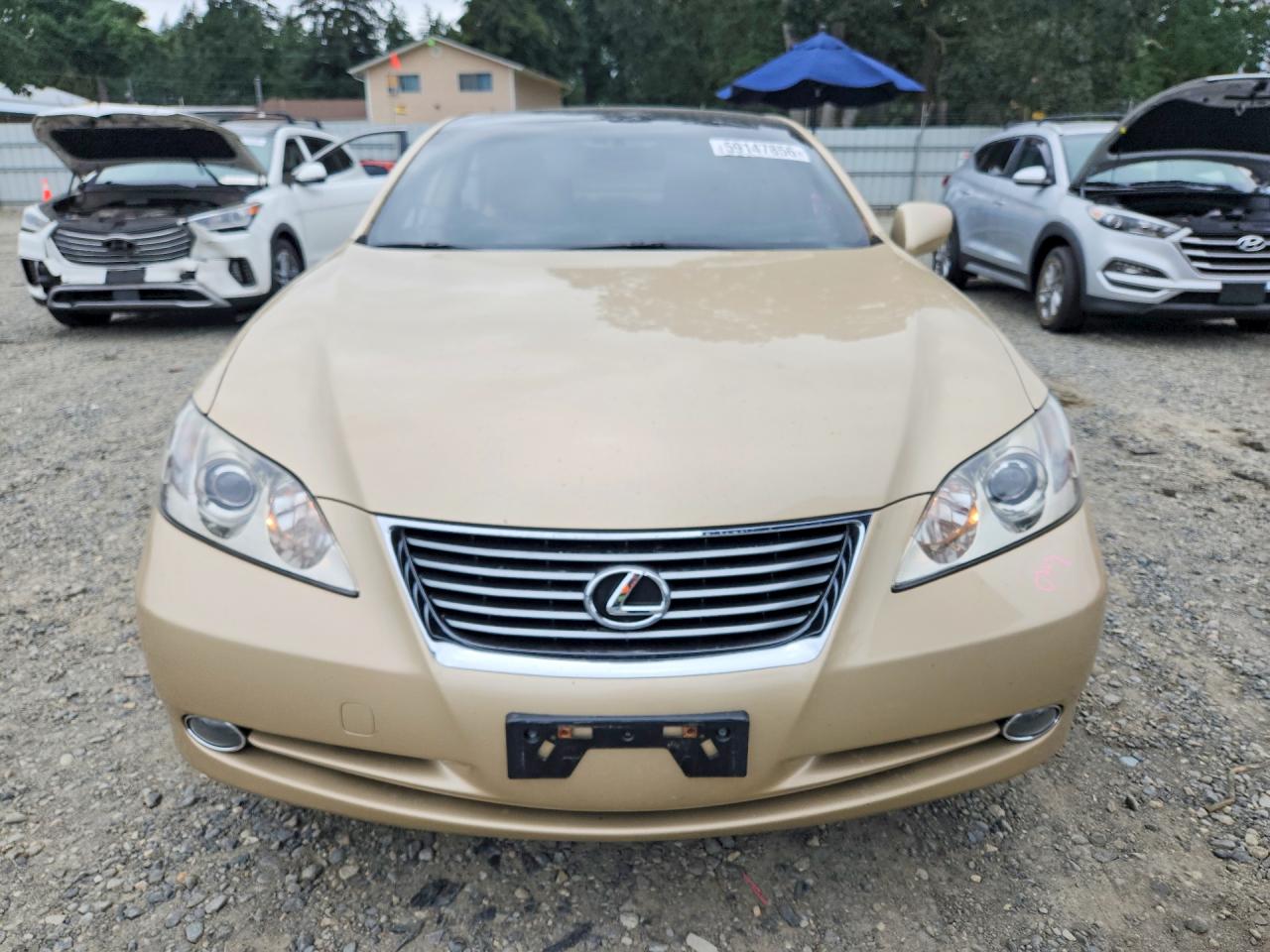 2007 Lexus Es 350 Tan vin: JTHBJ46G672057186