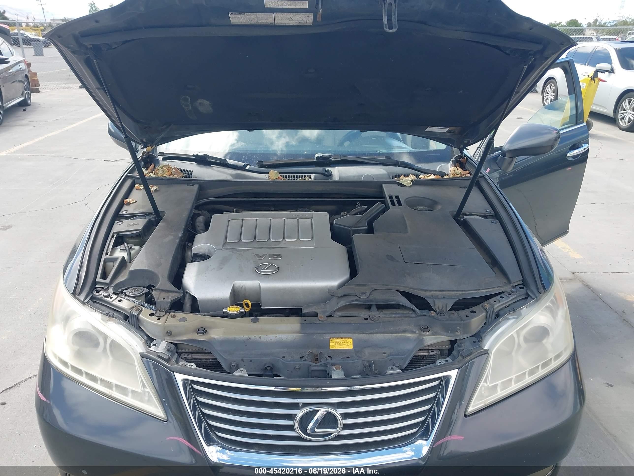 2007 Lexus Es 350   Gray vin: JTHBJ46G972107059