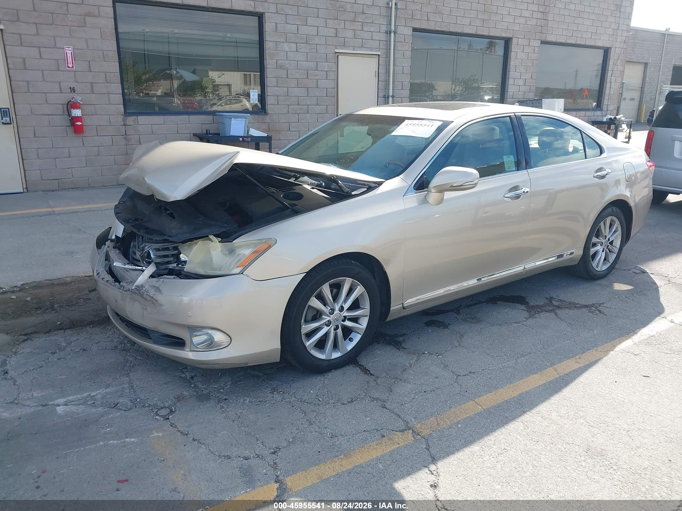 2011 Lexus Es 350   Золотой vin: JTHBK1EG1B2456867