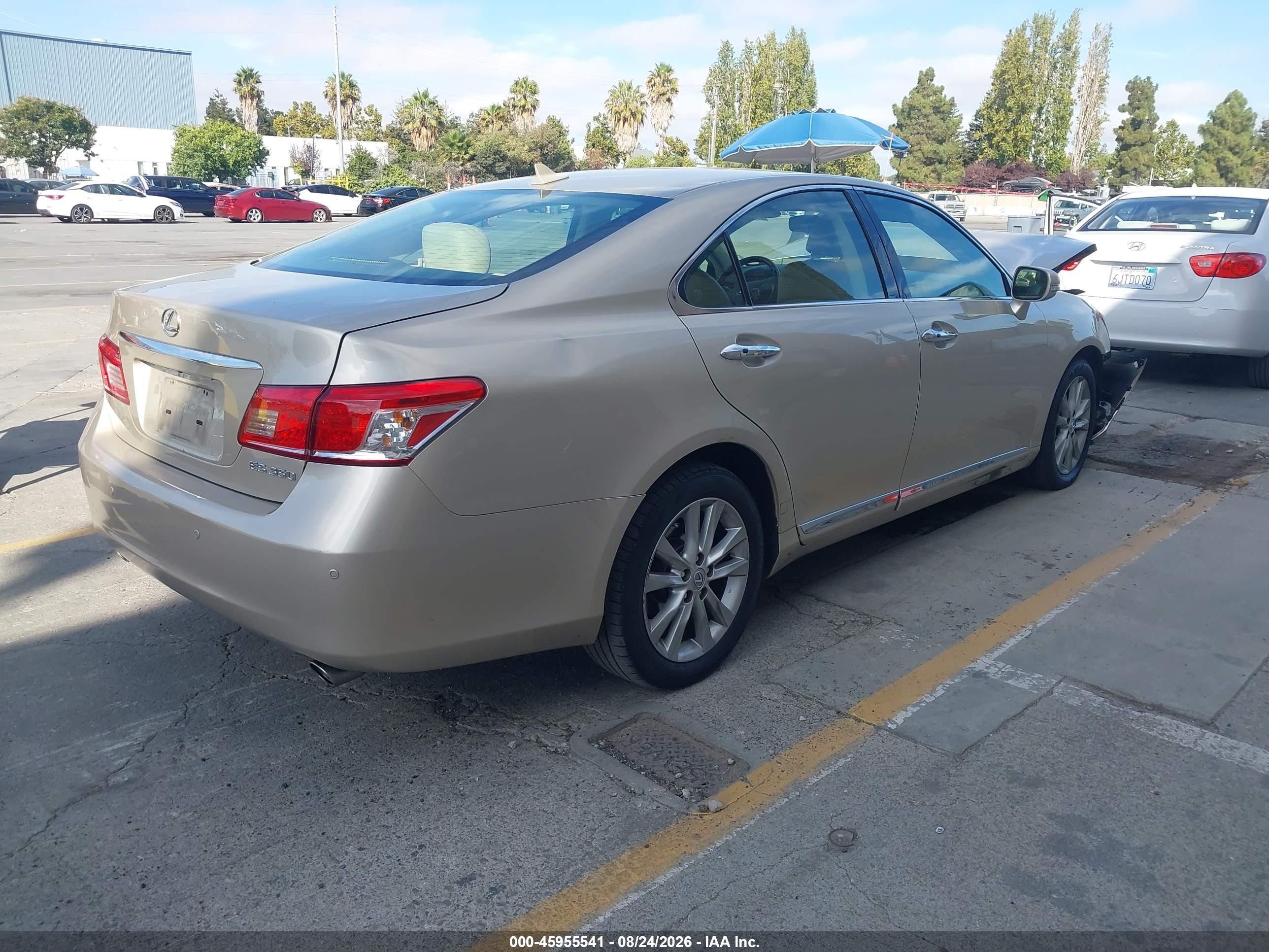2011 Lexus Es 350   Золотой vin: JTHBK1EG1B2456867