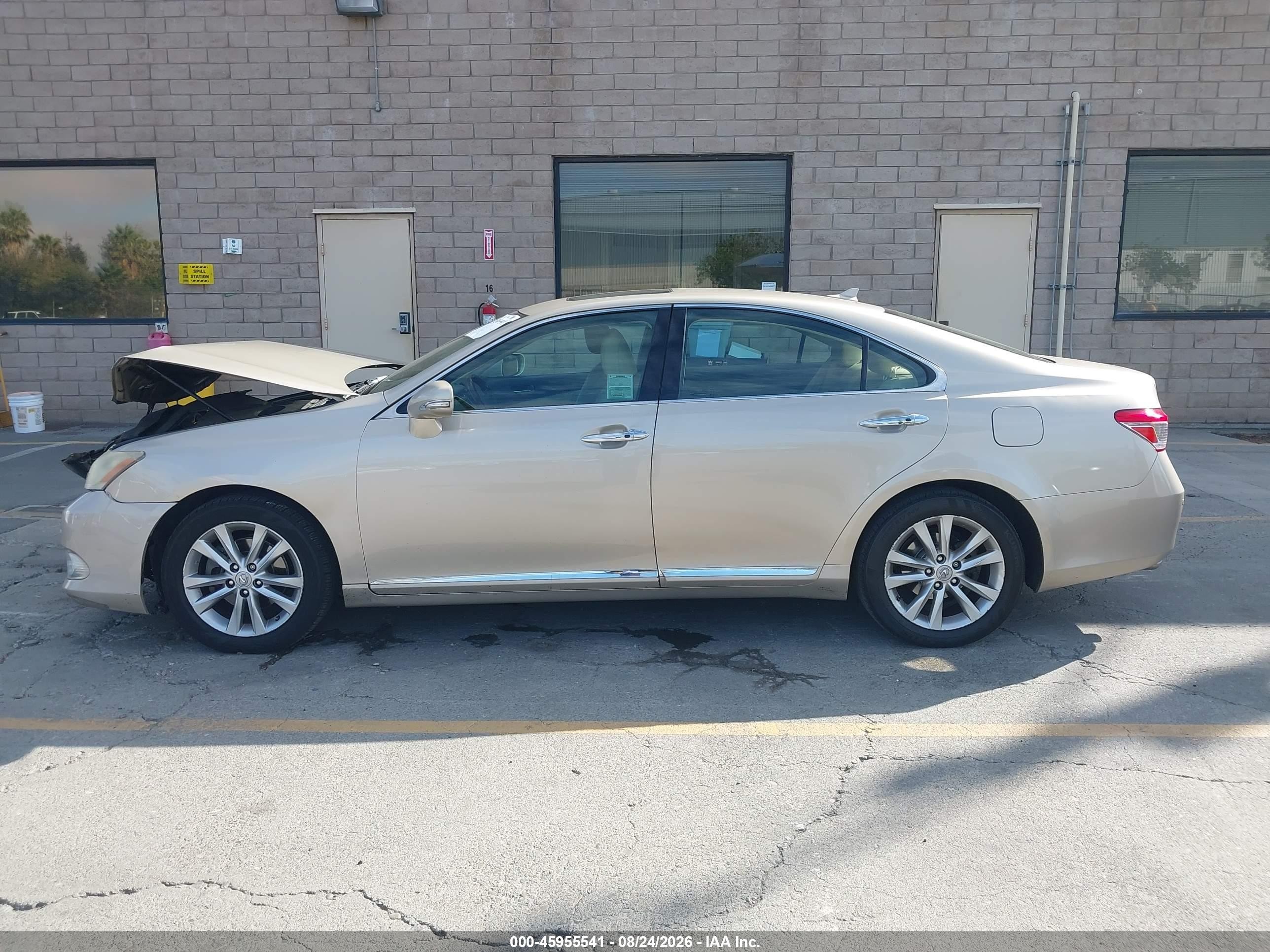 2011 Lexus Es 350   Золотой vin: JTHBK1EG1B2456867