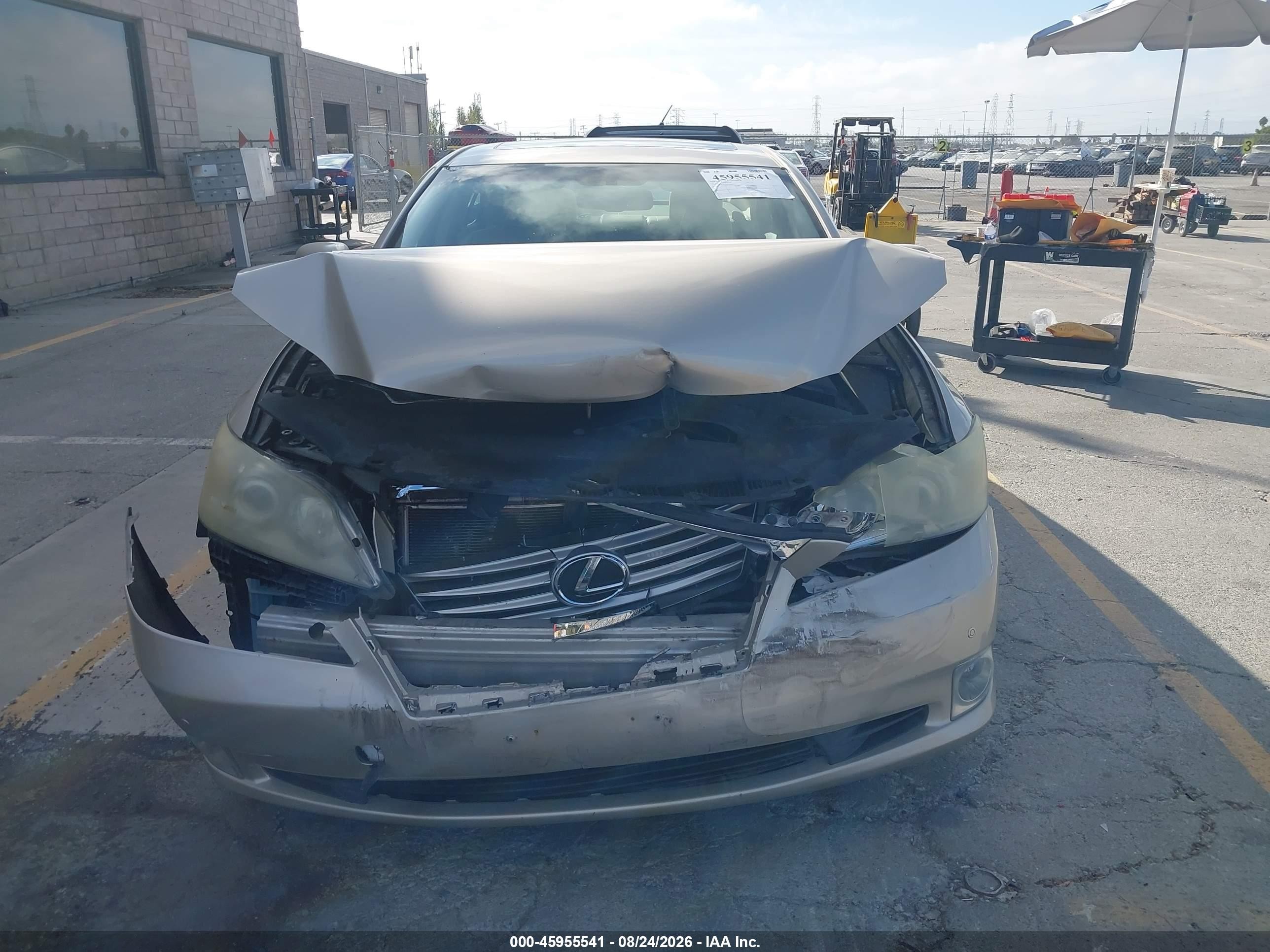 2011 Lexus Es 350   Золотой vin: JTHBK1EG1B2456867
