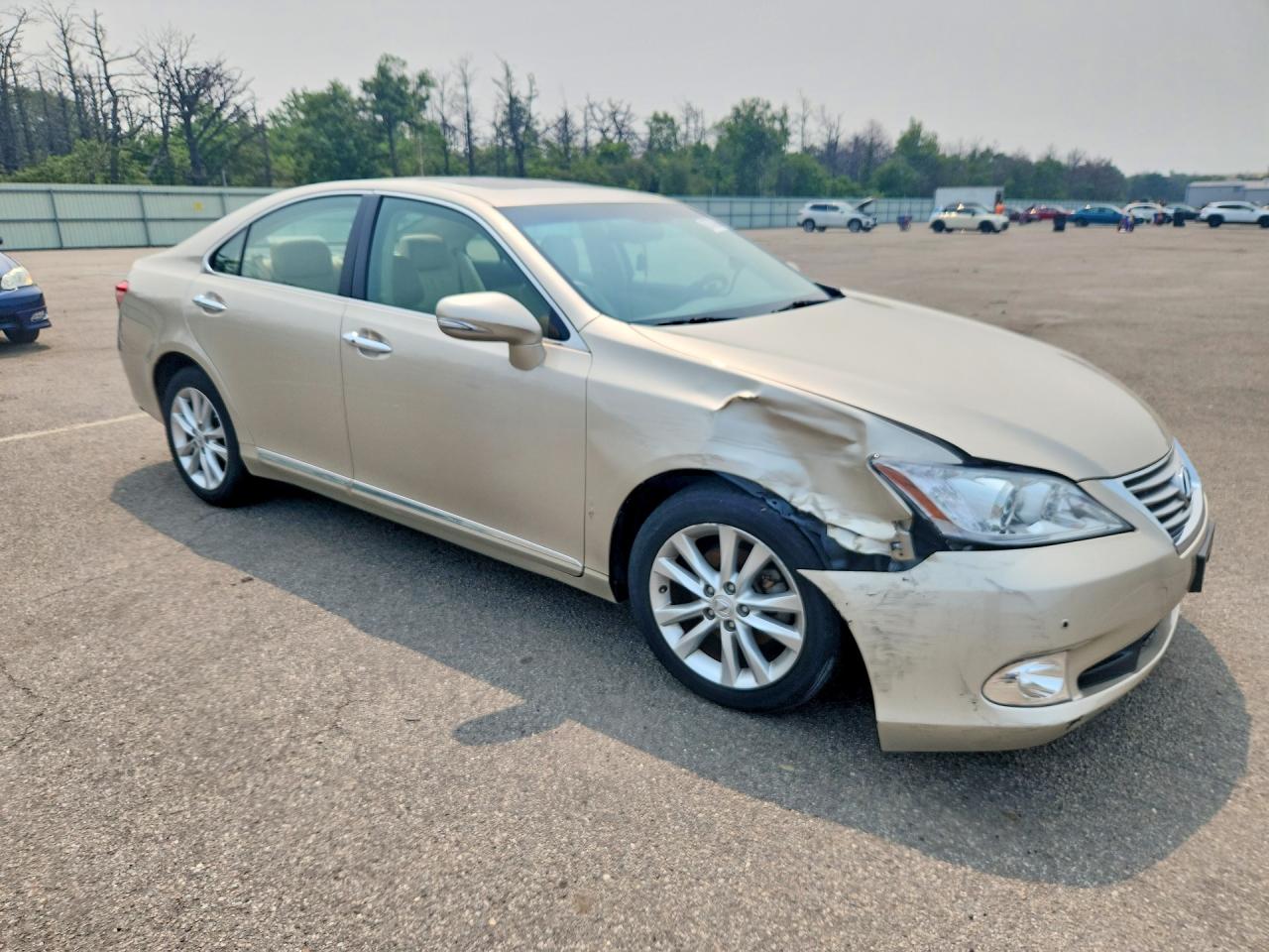 2010 Lexus Es 350 Beige vin: JTHBK1EG2A2408969