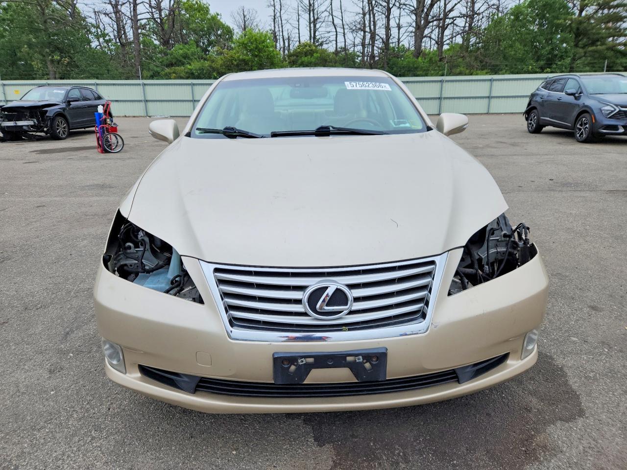 2011 Lexus Es 350 Tan vin: JTHBK1EG5B2444088