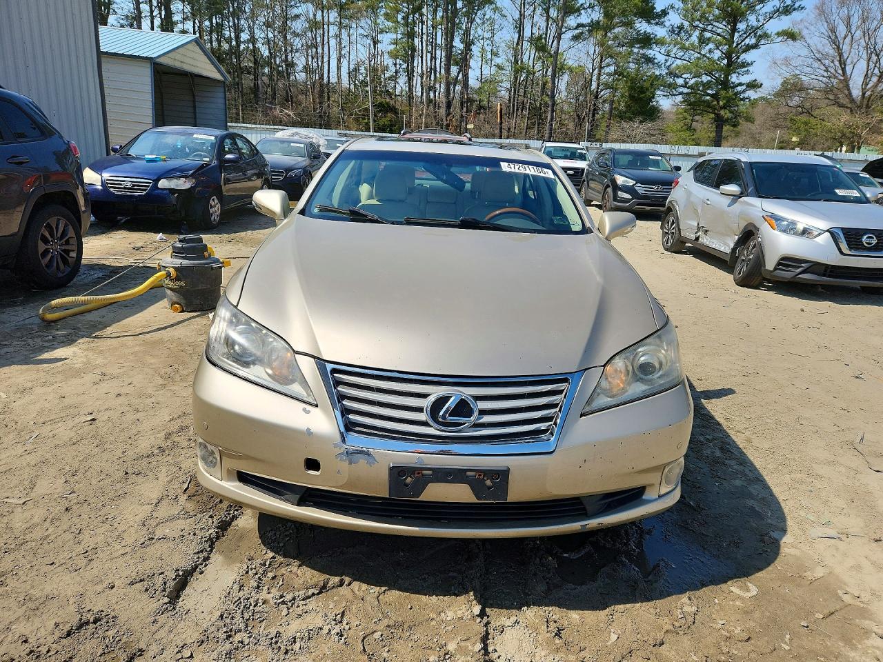 2011 Lexus Es 350 Base Gold vin: JTHBK1EG6B2463510
