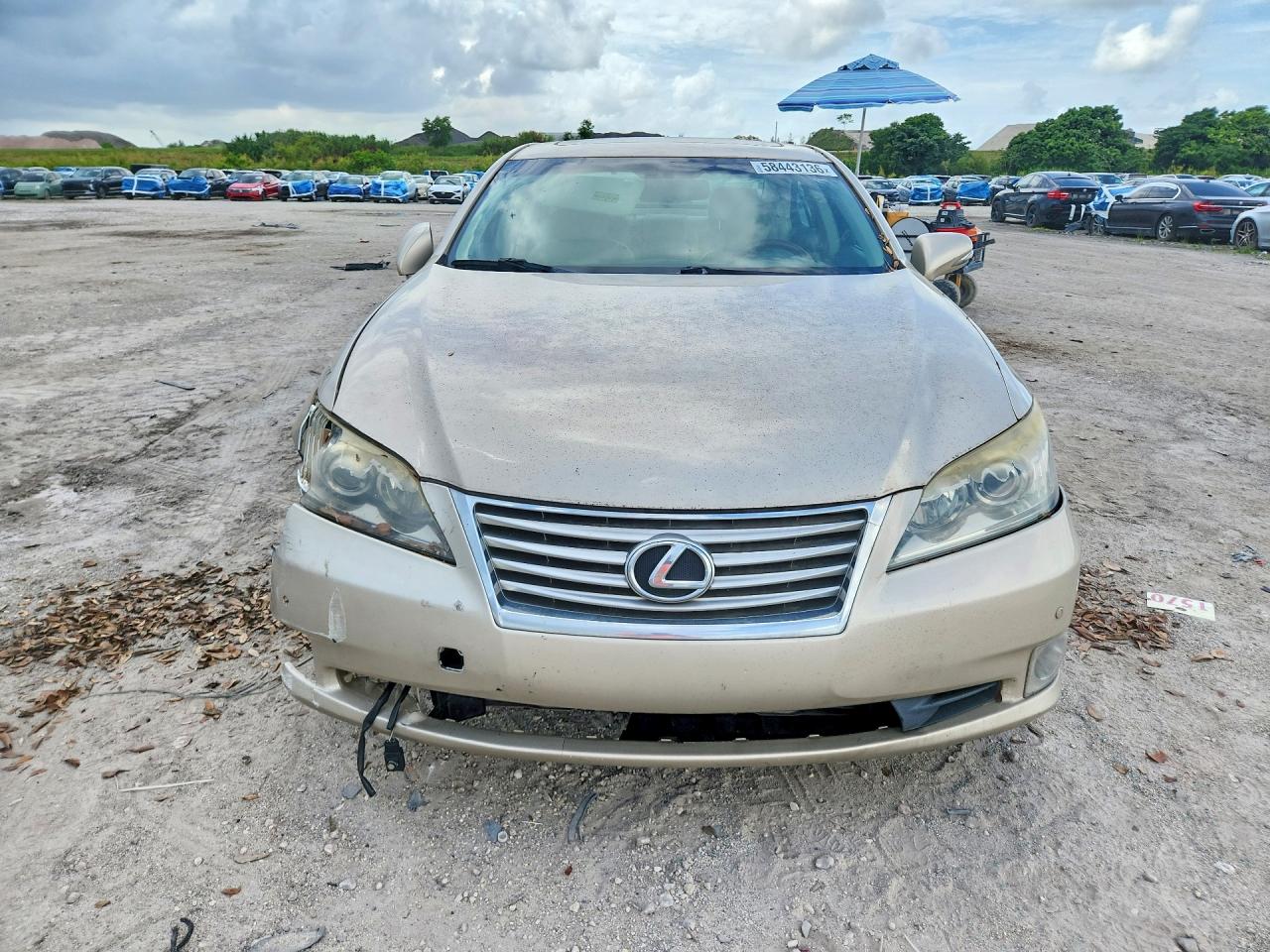 2011 Lexus Es 350 Beige vin: JTHBK1EG6B2464043