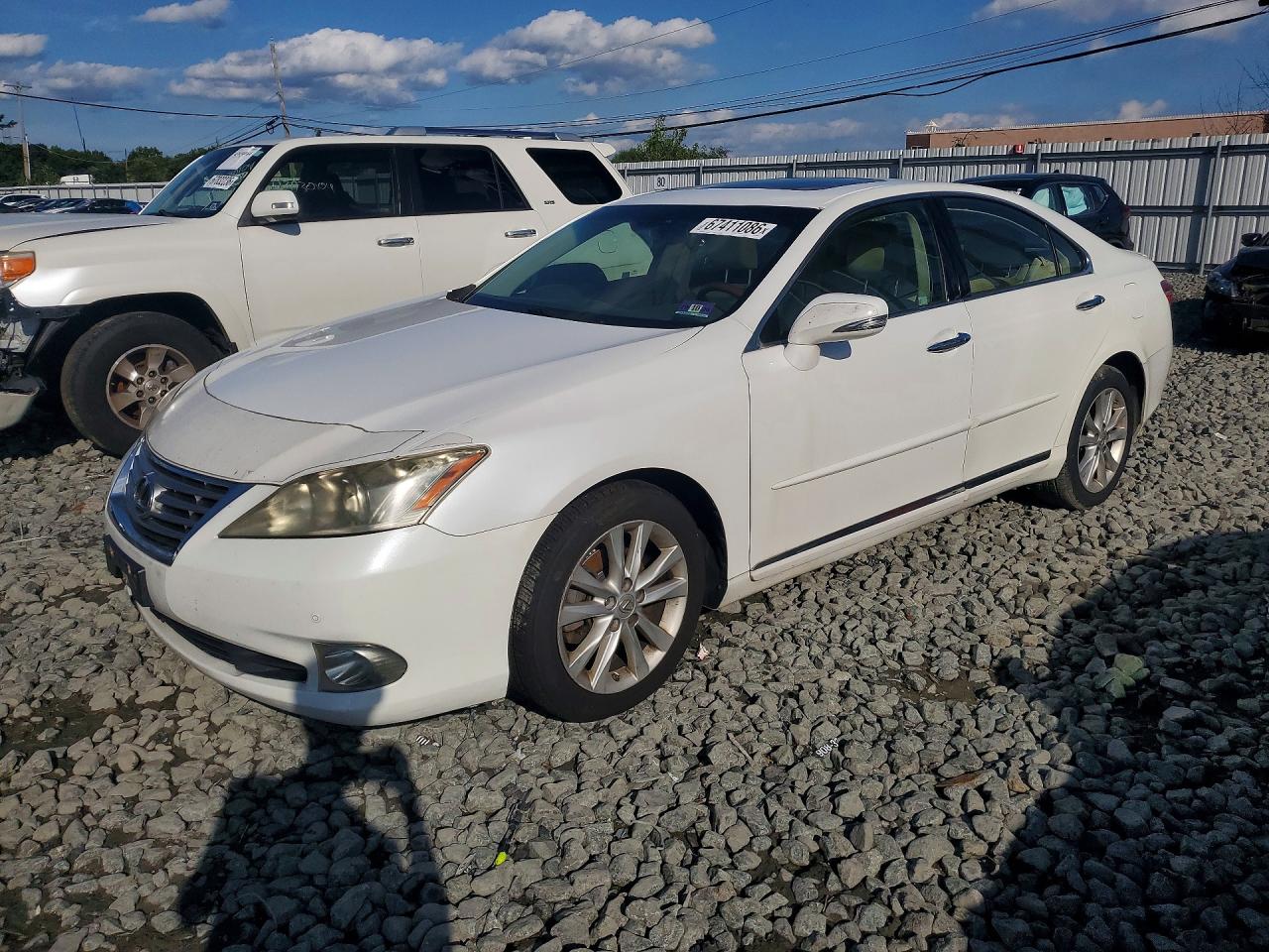 2011 Lexus Es 350 Белый vin: JTHBK1EG6B2469565