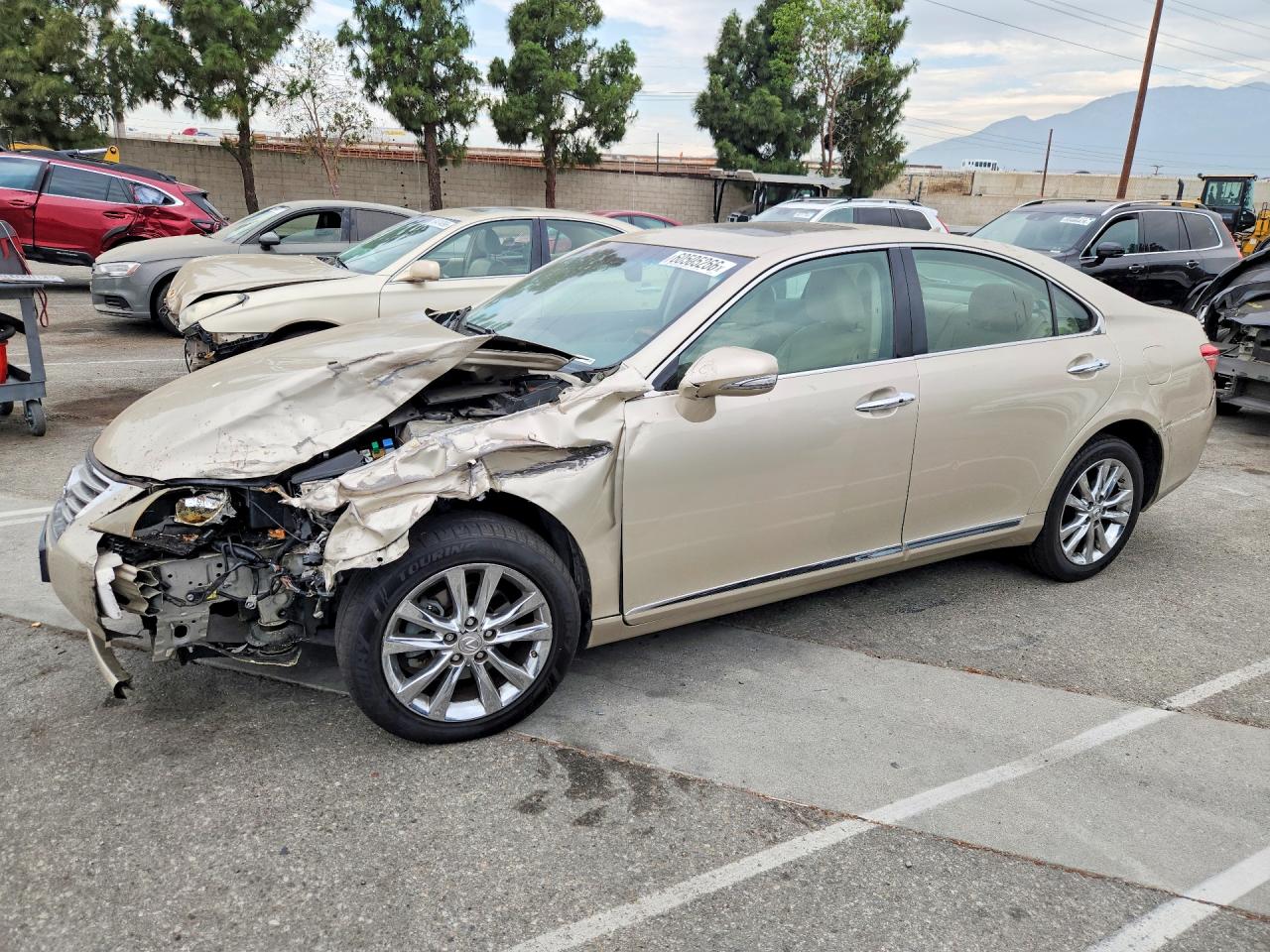 2010 Lexus Es 350 Желто-коричневый vin: JTHBK1EG7A2358649