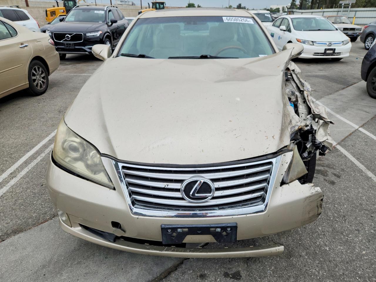 2010 Lexus Es 350 Желто-коричневый vin: JTHBK1EG7A2358649