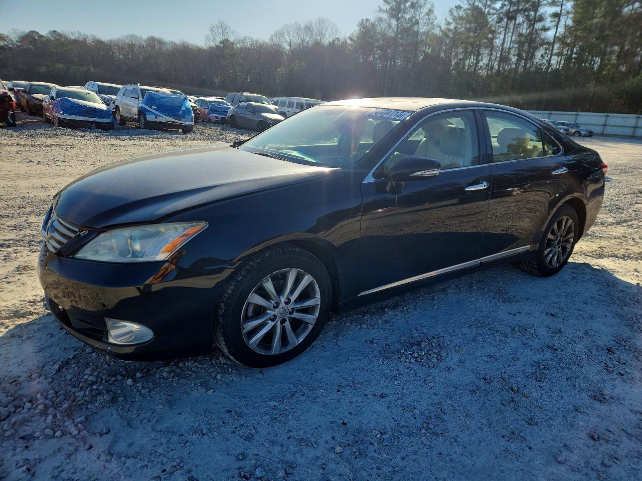 2010 Lexus Es 350 Black vin: JTHBK1EG8A2391224