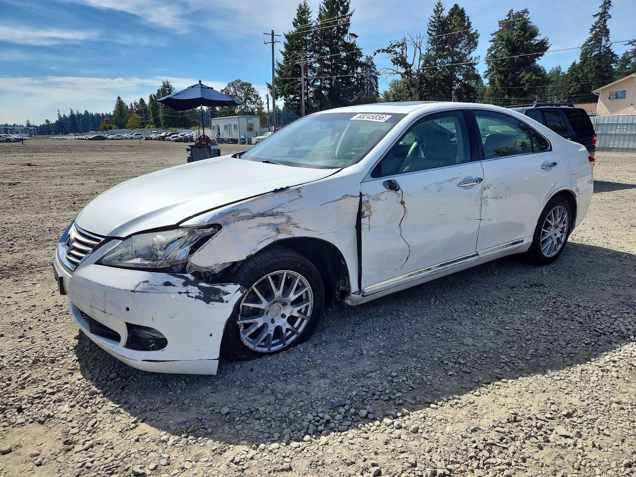 2010 Lexus Es 350 Белый vin: JTHBK1EG9A2405597