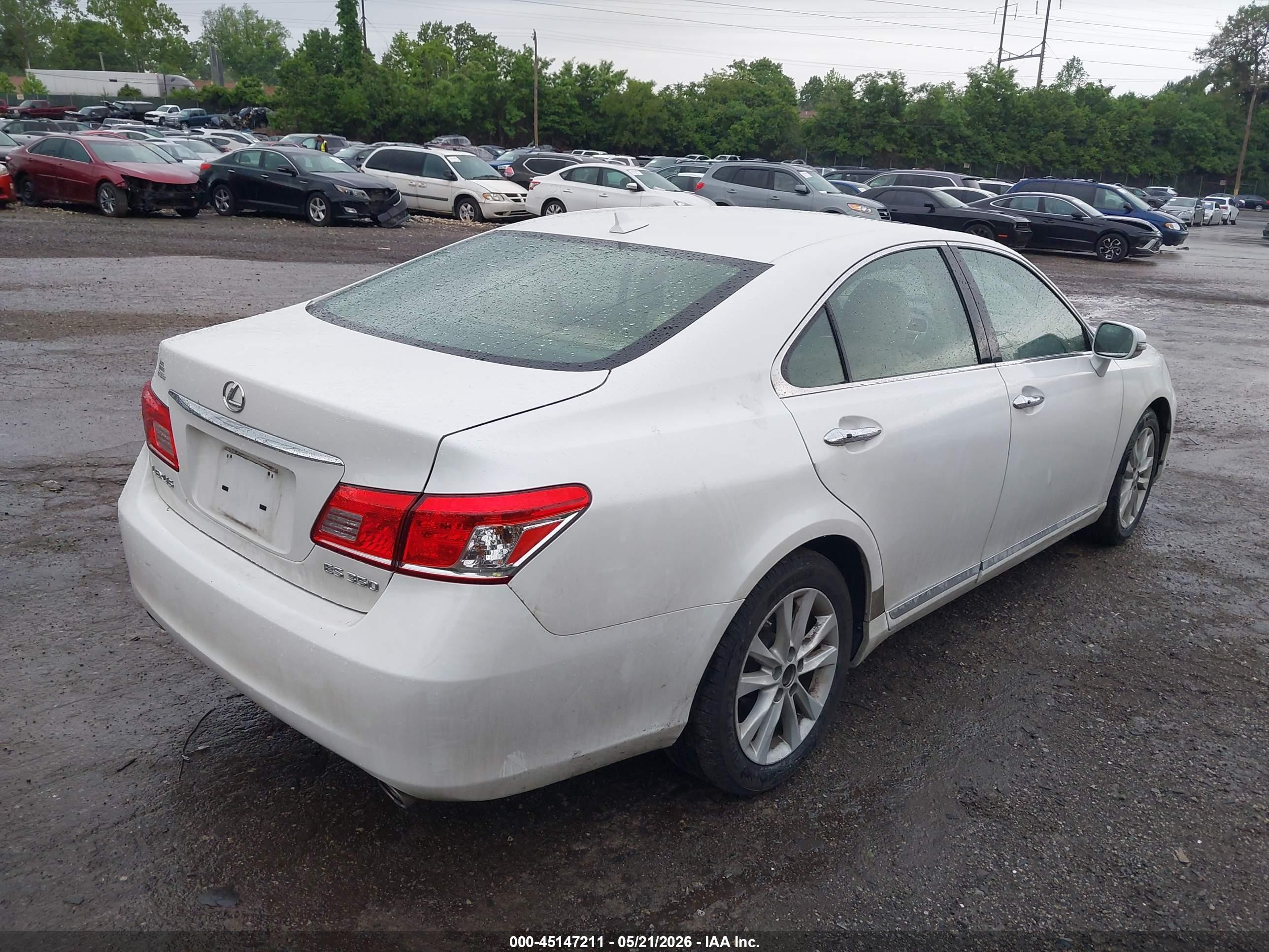 2010 Lexus Es 350   White vin: JTHBK1EGXA2368236