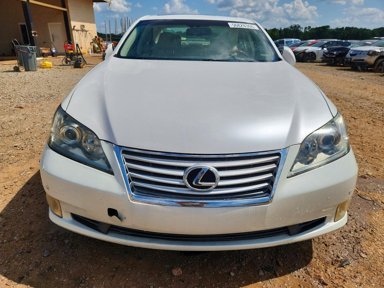 2010 Lexus Es 350 Белый vin: JTHBK1EGXA2376238