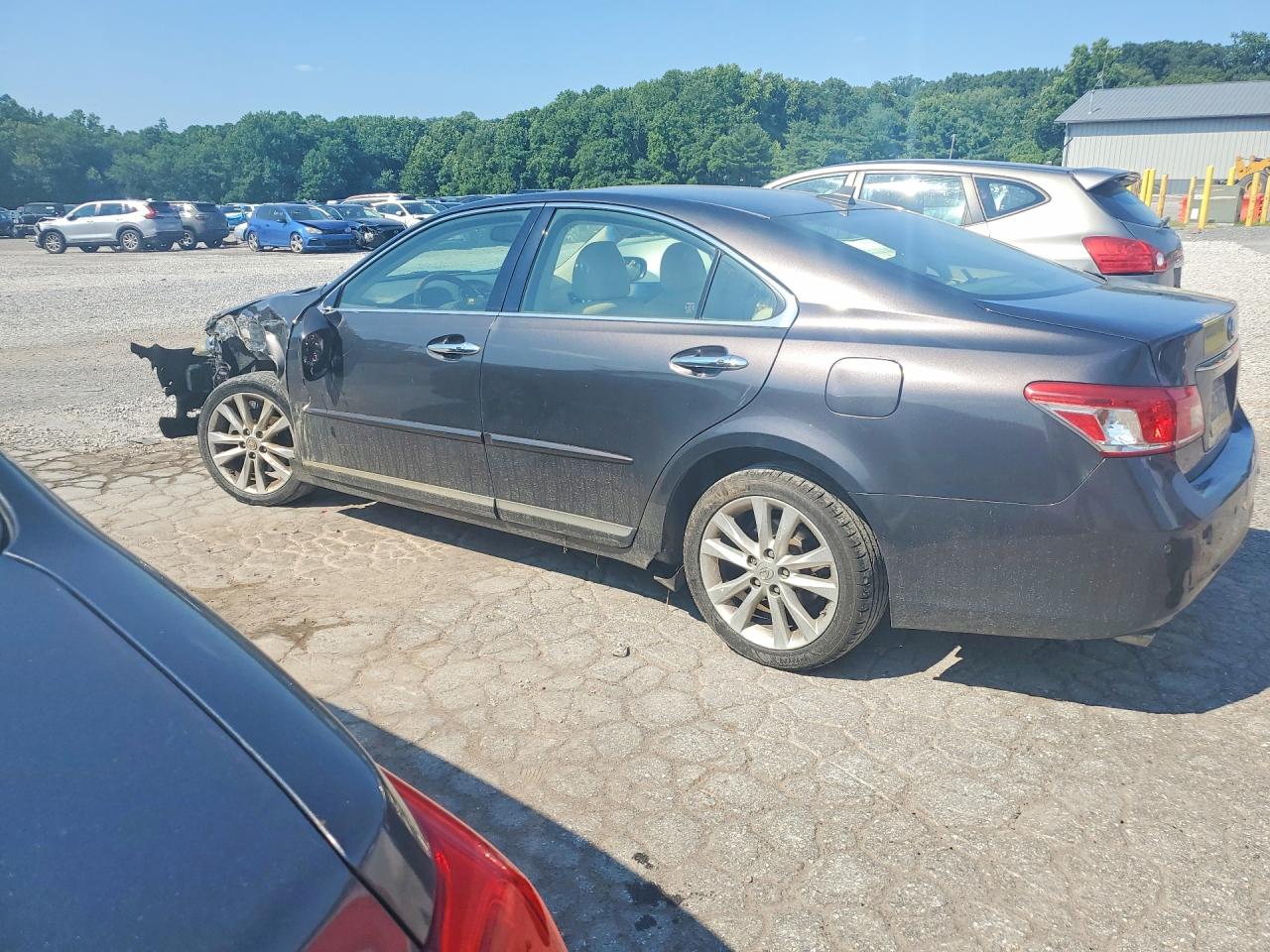 2011 Lexus Es 350 Черный vin: JTHBK1EGXB2463252