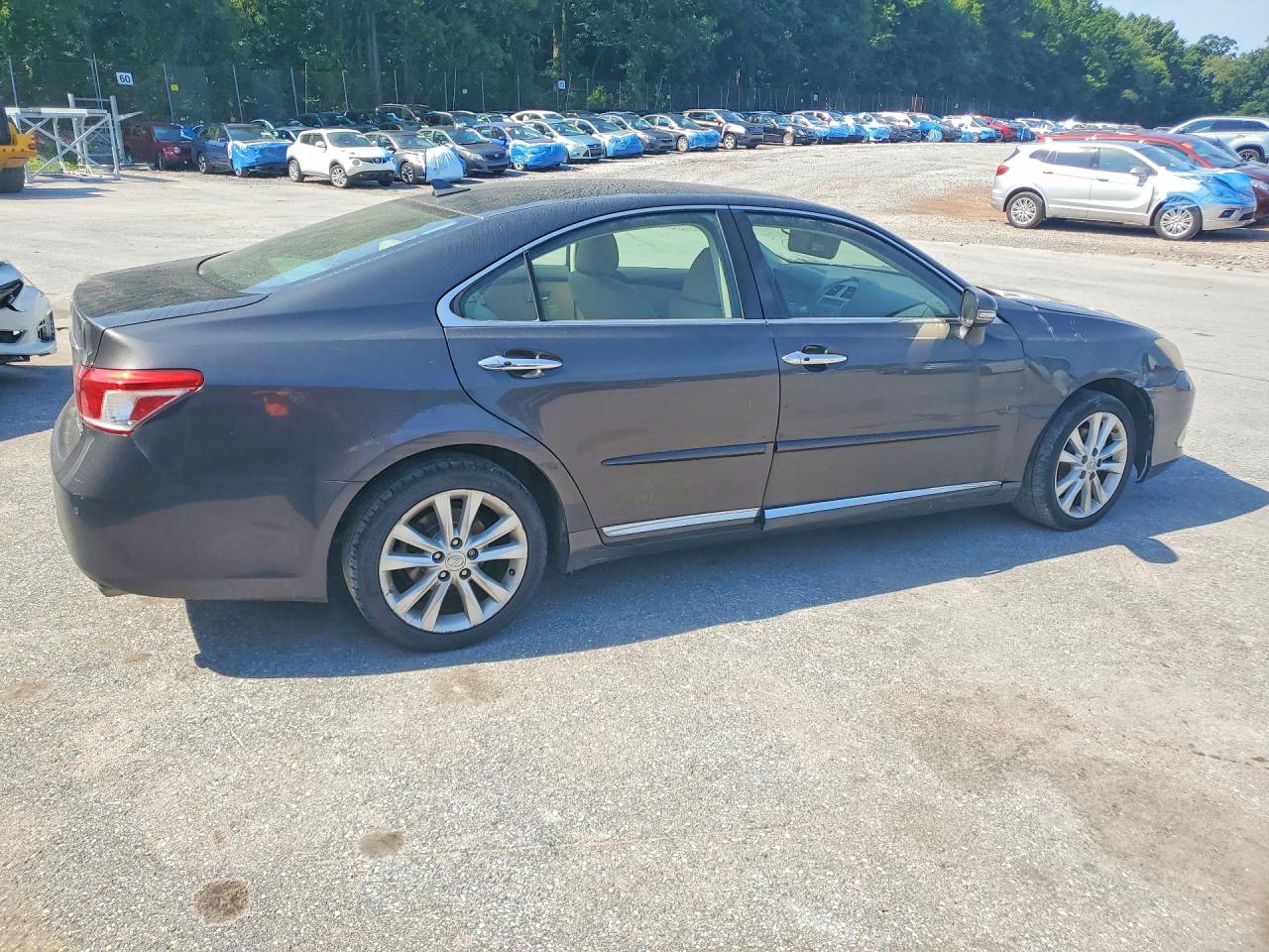 2011 Lexus Es 350 Черный vin: JTHBK1EGXB2463252