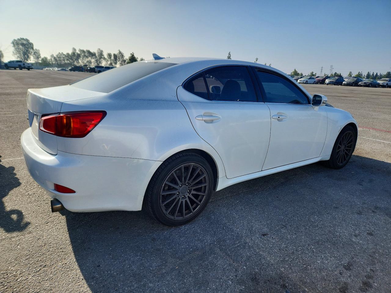 2009 Lexus Is 250 White vin: JTHBK262195086778