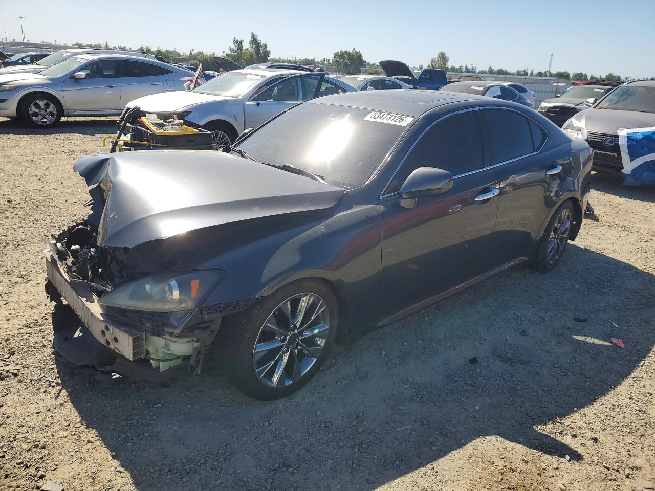 2006 Lexus Is 250 Black vin: JTHBK262365001516