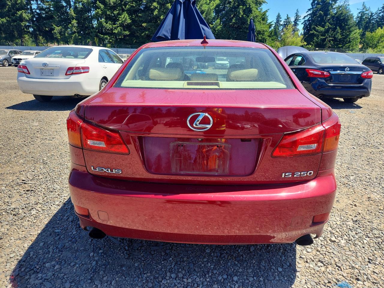 2008 Lexus Is 250 Красный vin: JTHBK262382063888