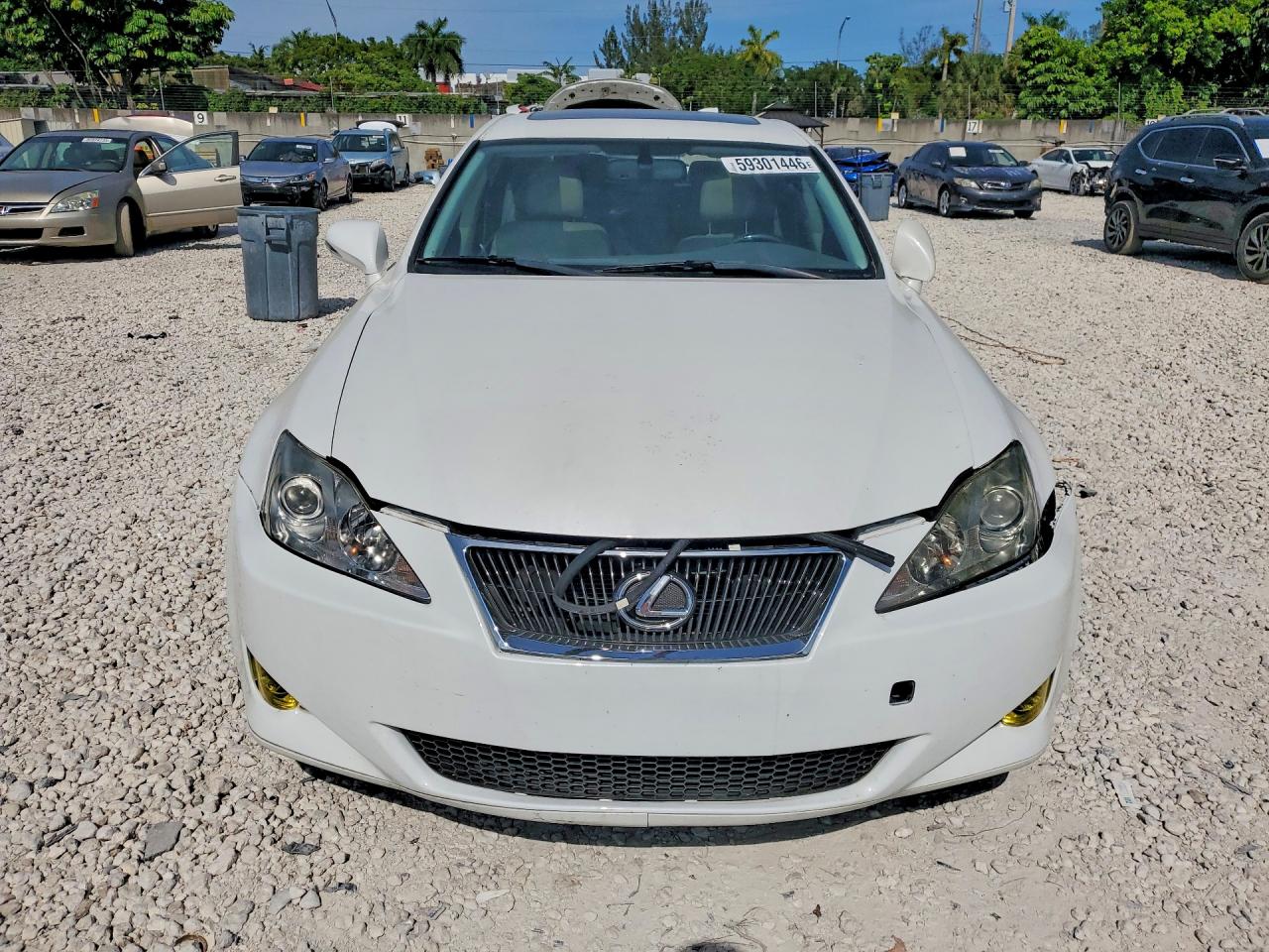 2009 Lexus Is 250 White vin: JTHBK262395087978
