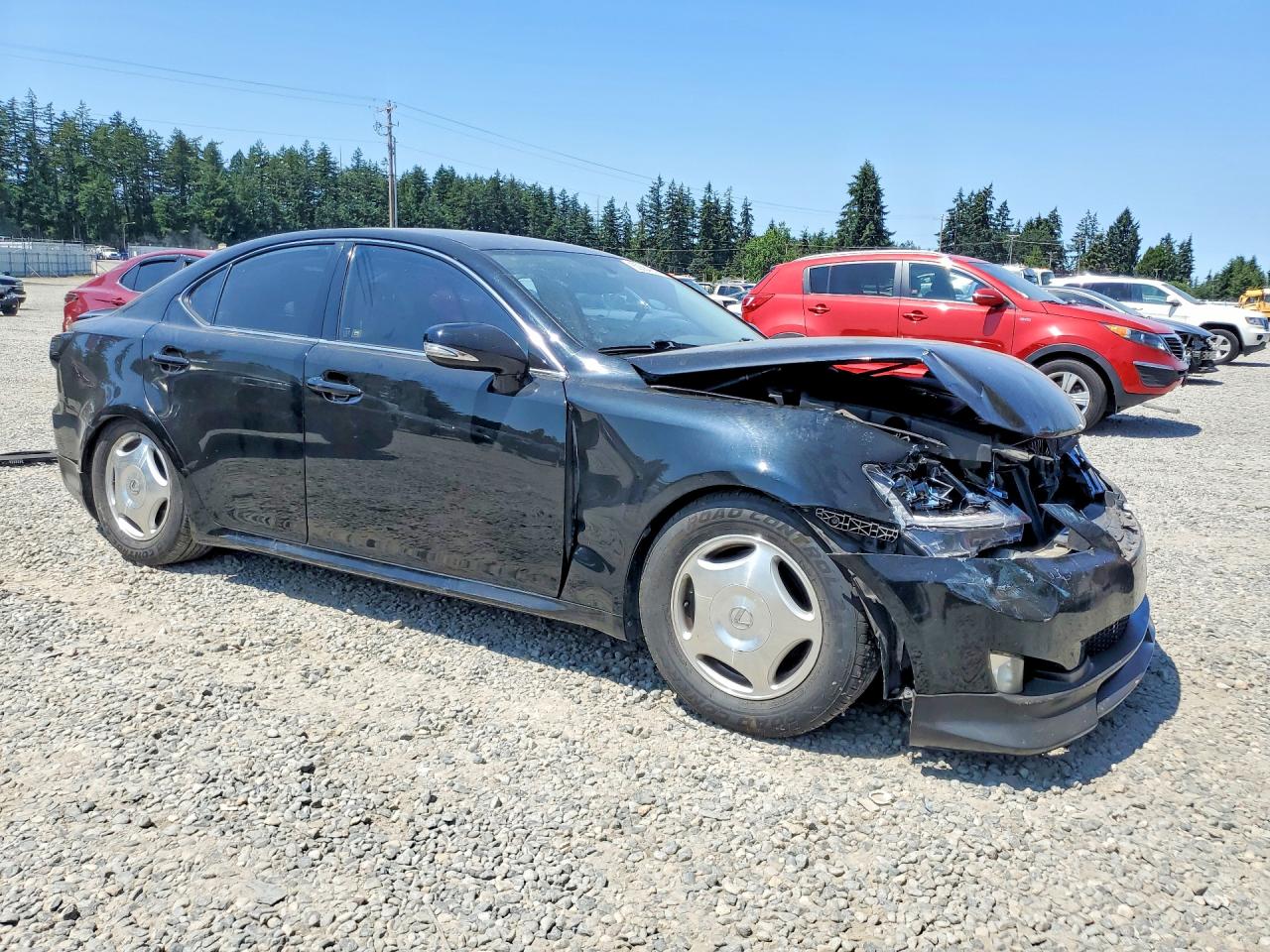 2009 Lexus Is 250 Black vin: JTHBK262495091621