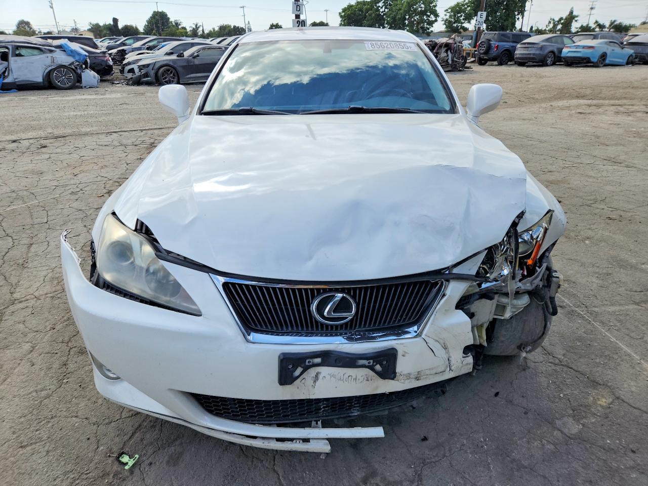 2007 Lexus Is 250 White vin: JTHBK262675044975