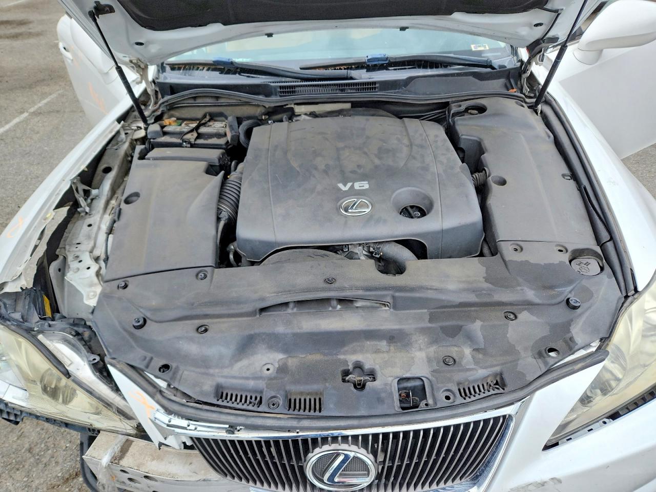 2007 Lexus Is 250 Белый vin: JTHBK262775050364