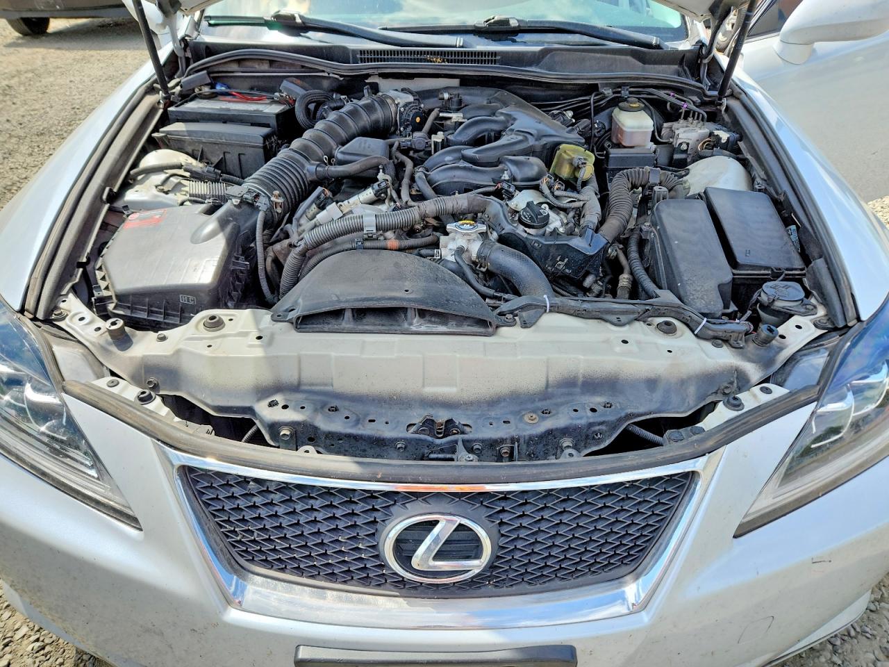 2008 Lexus Is 250 Silver vin: JTHBK262X85079570