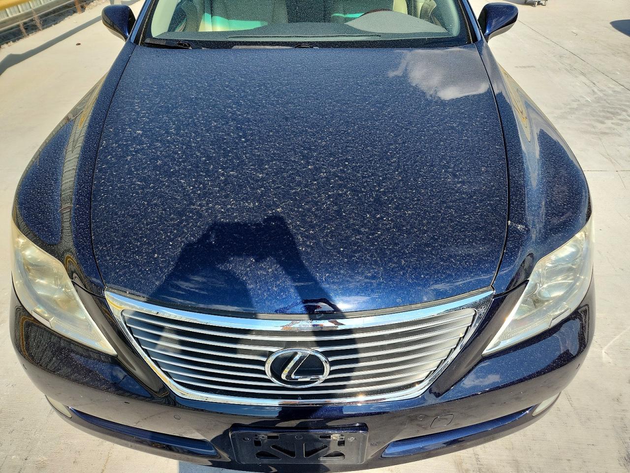 2008 Lexus Ls 460 Blue vin: JTHBL46F085061140