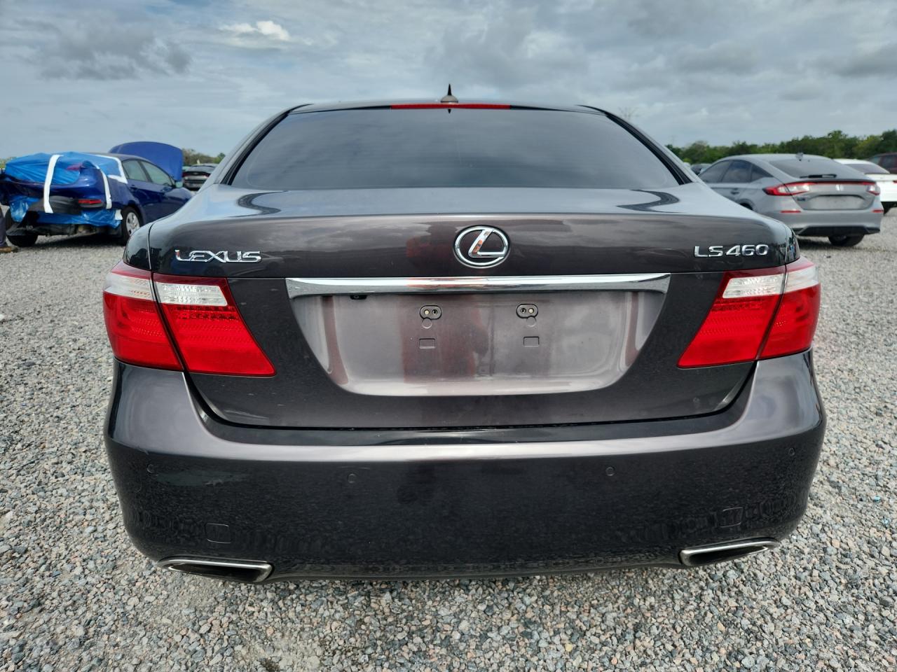 2008 Lexus Ls 460 Gray vin: JTHBL46F085068251