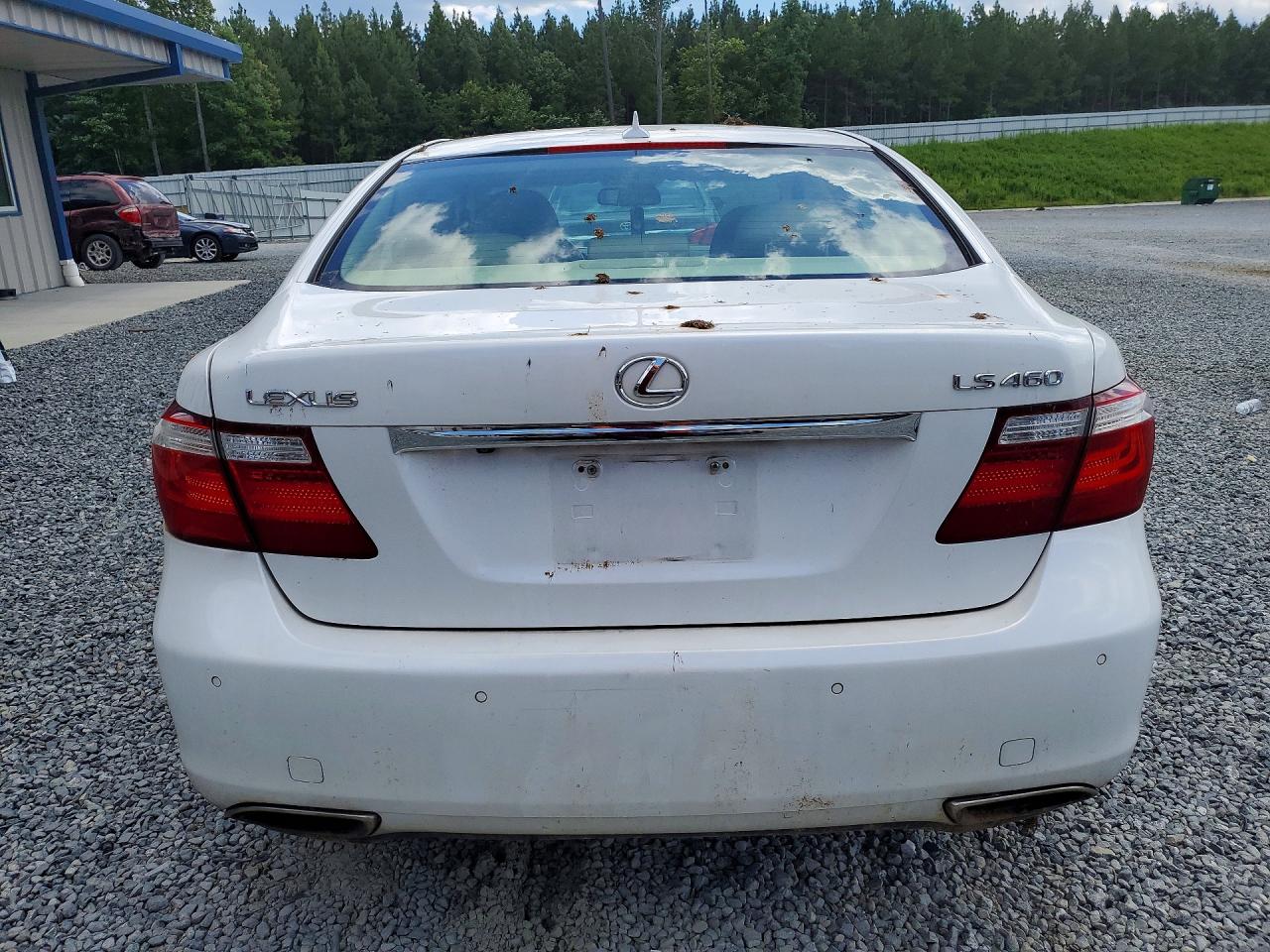 2009 Lexus Ls 460 White vin: JTHBL46F195091278
