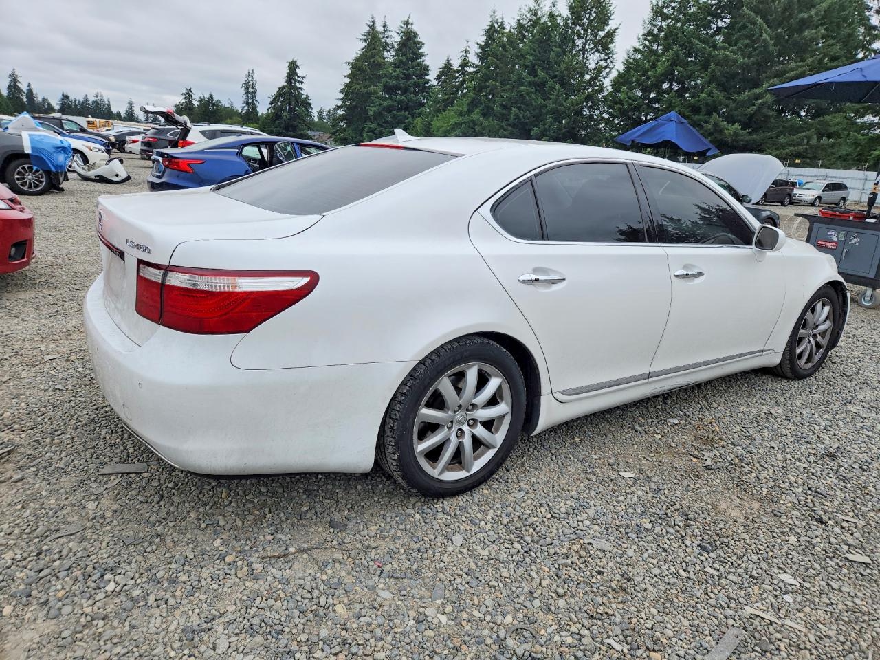 2007 Lexus Ls 460 White vin: JTHBL46F475033422