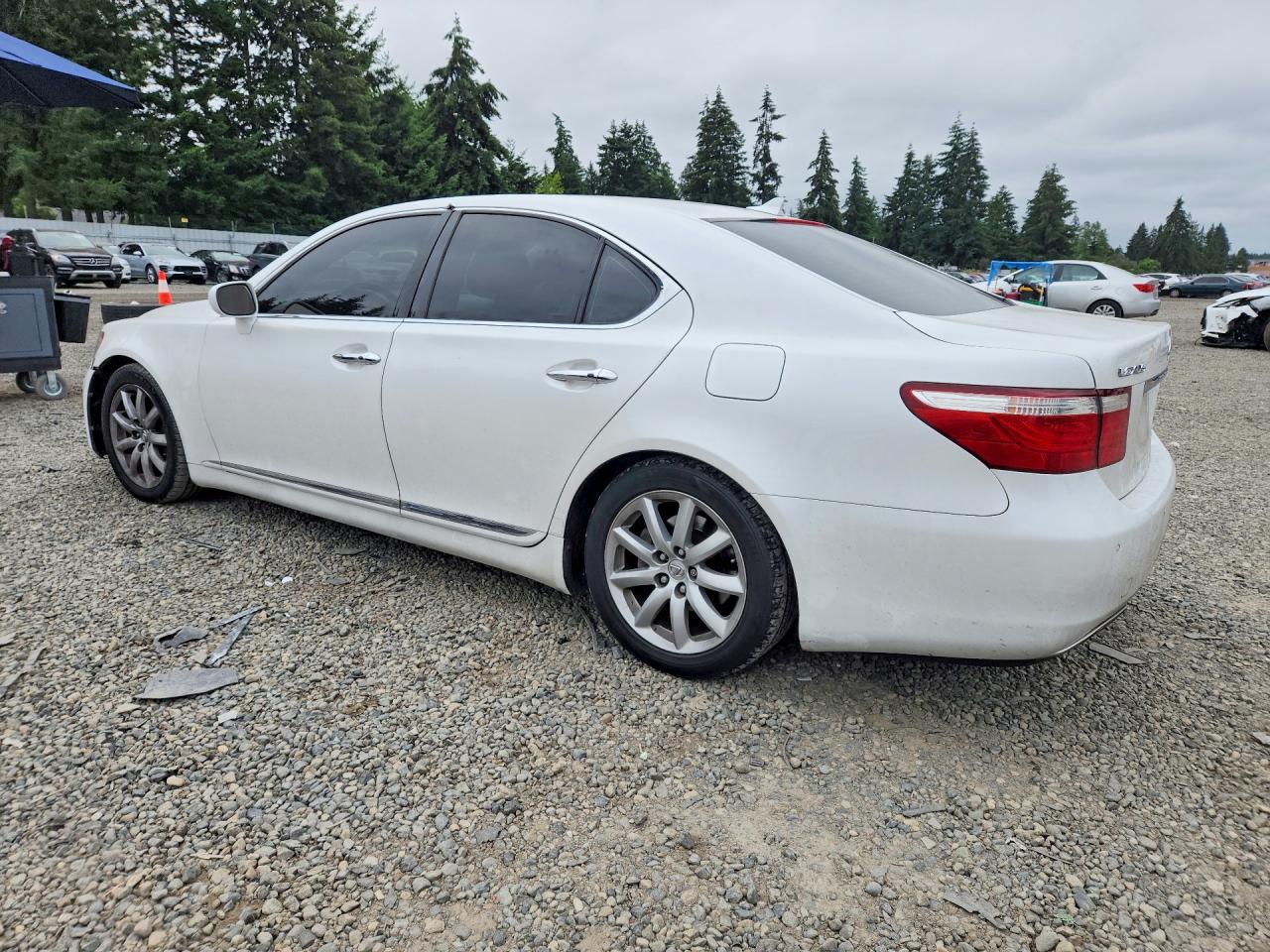 2007 Lexus Ls 460 White vin: JTHBL46F475033422