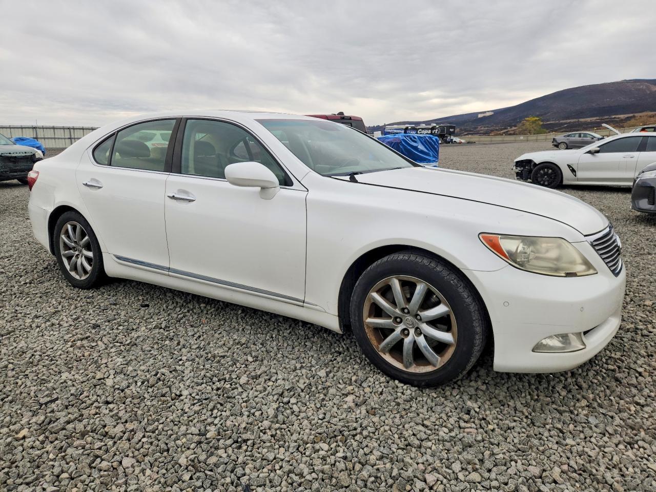 2008 Lexus Ls 460 White vin: JTHBL46F485056670