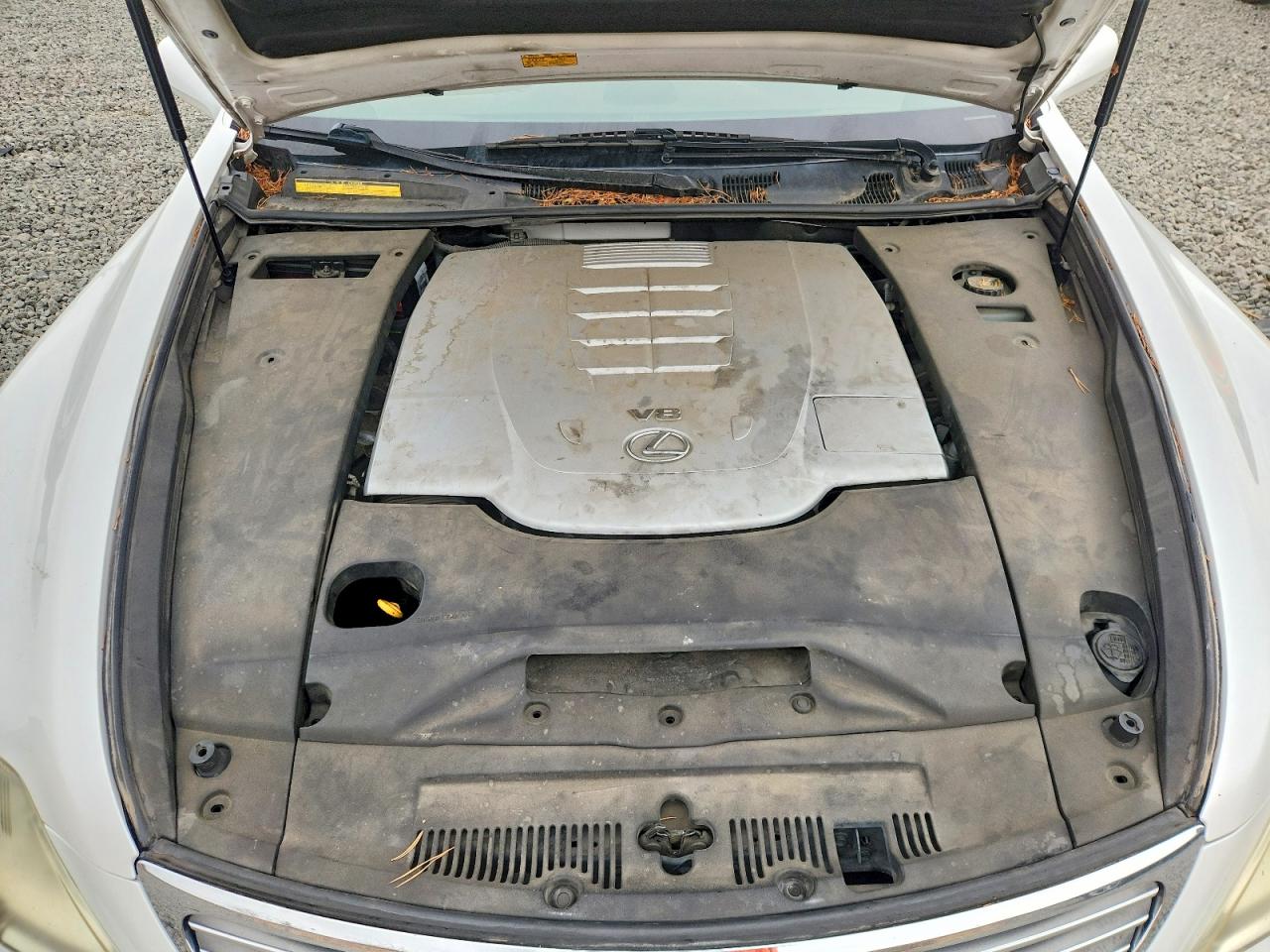 2008 Lexus Ls 460 White vin: JTHBL46F485056670