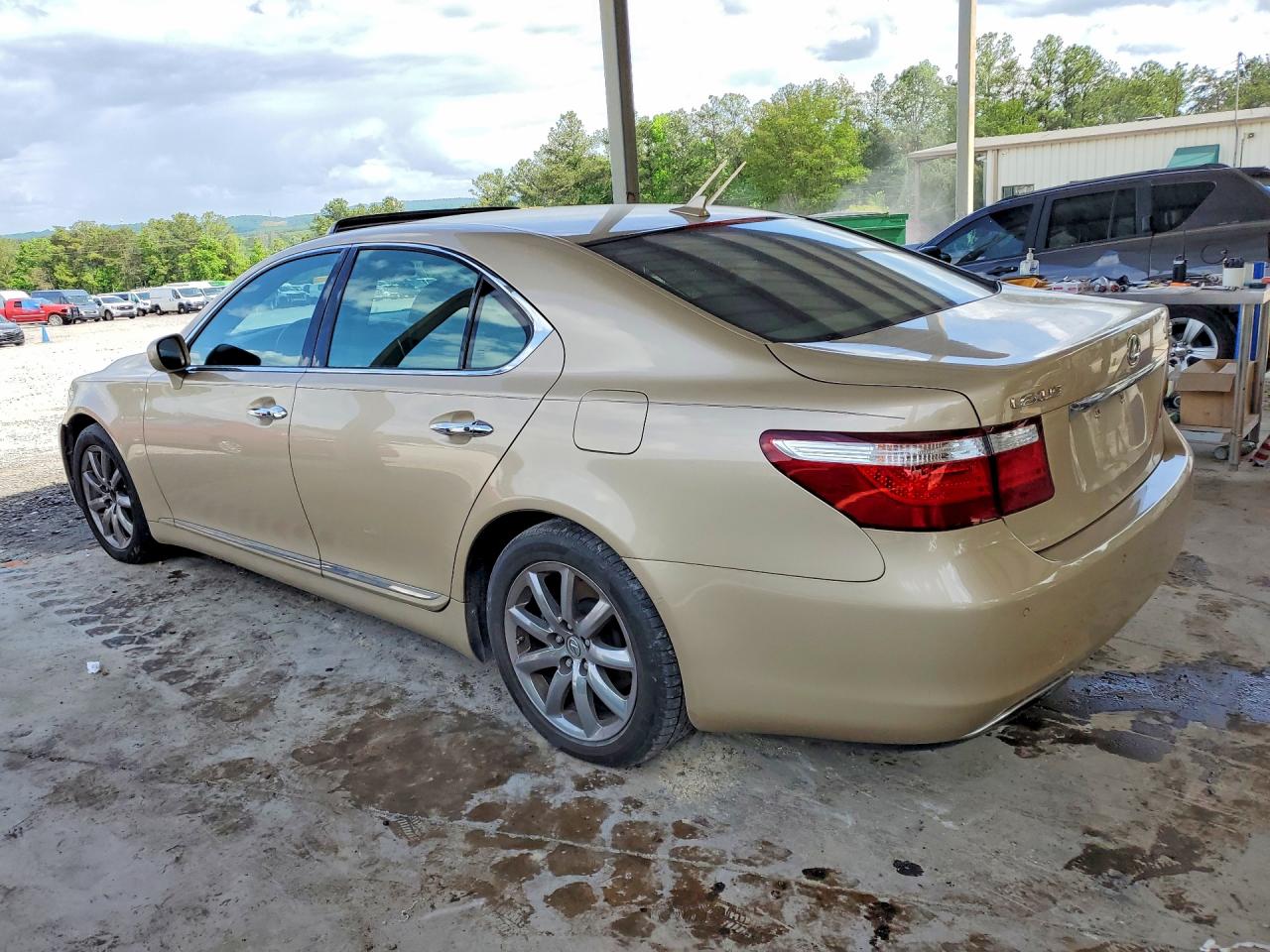 2008 Lexus Ls 460 Gold vin: JTHBL46F585083358