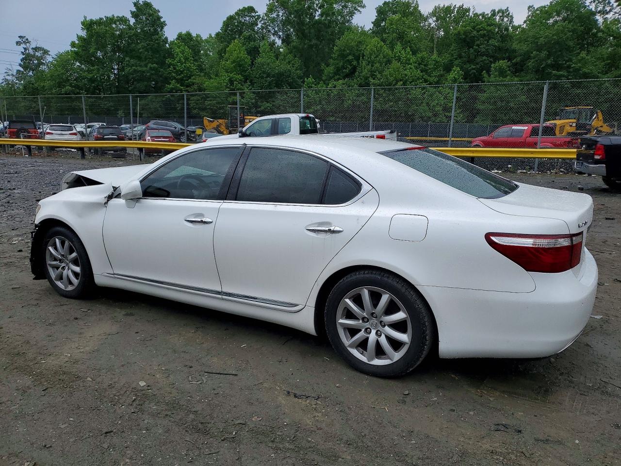 2007 Lexus Ls 460 Белый vin: JTHBL46F675015231