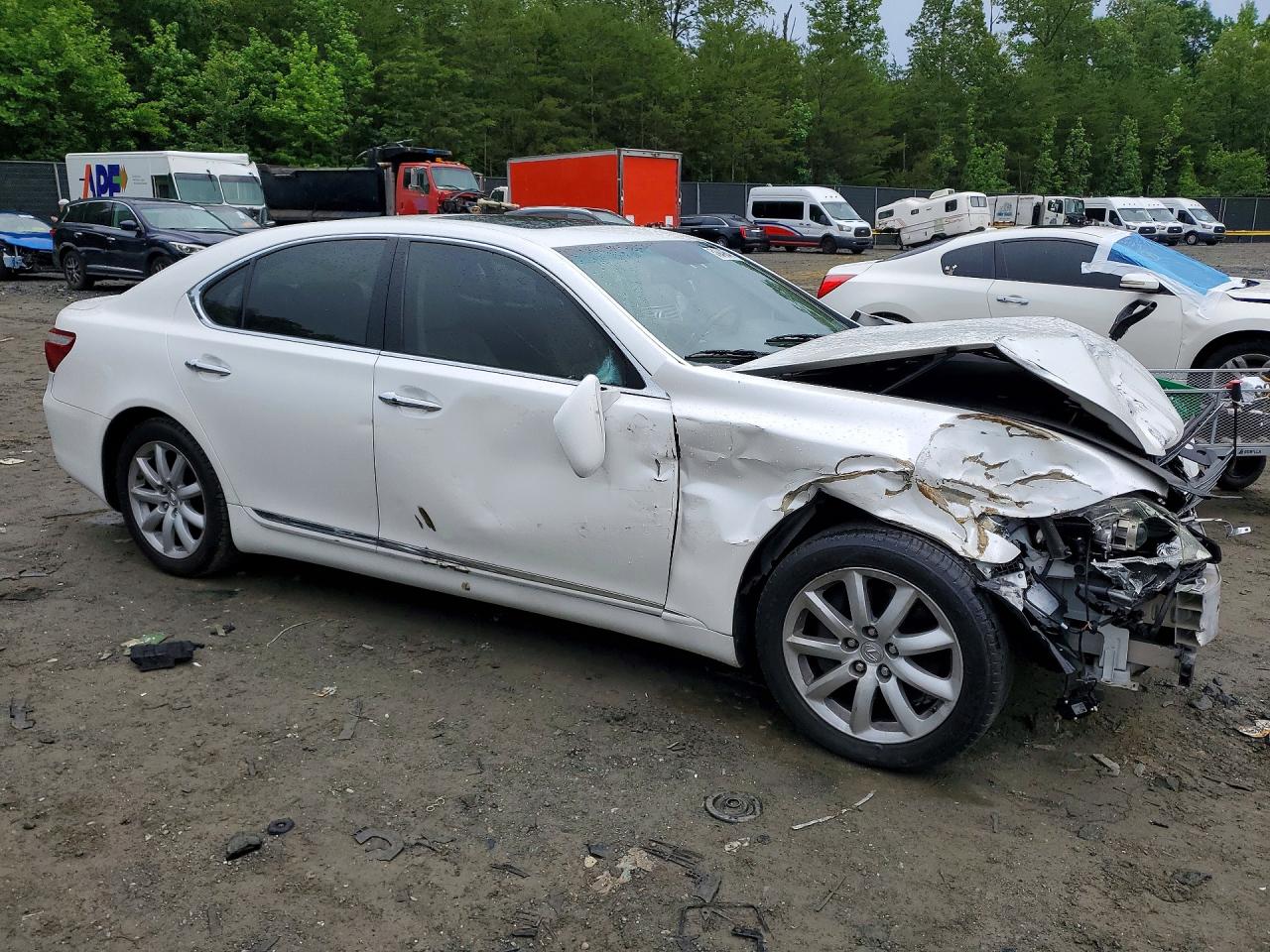 2007 Lexus Ls 460 Белый vin: JTHBL46F675015231