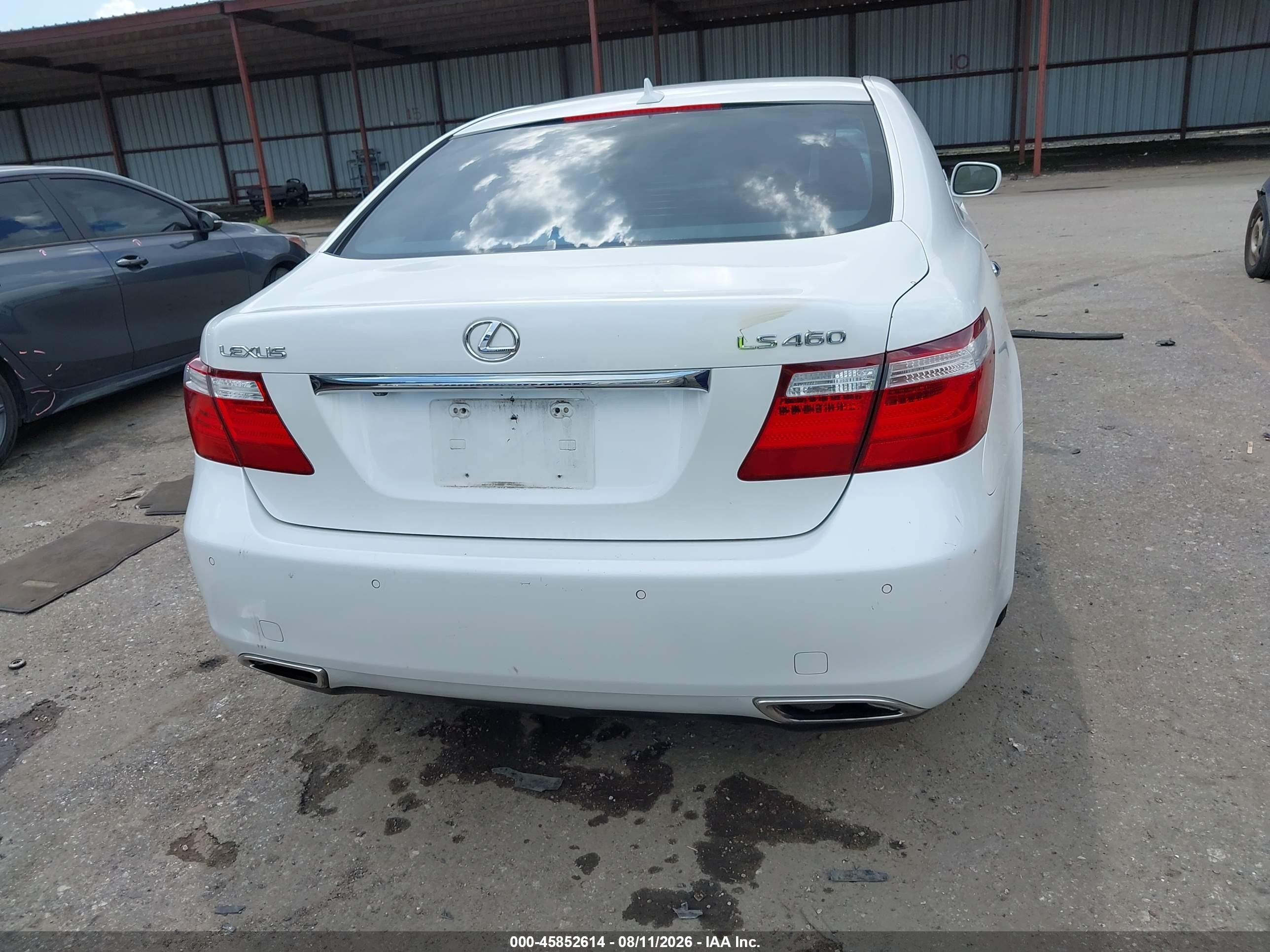 2009 Lexus Ls 460   White vin: JTHBL46F695087257