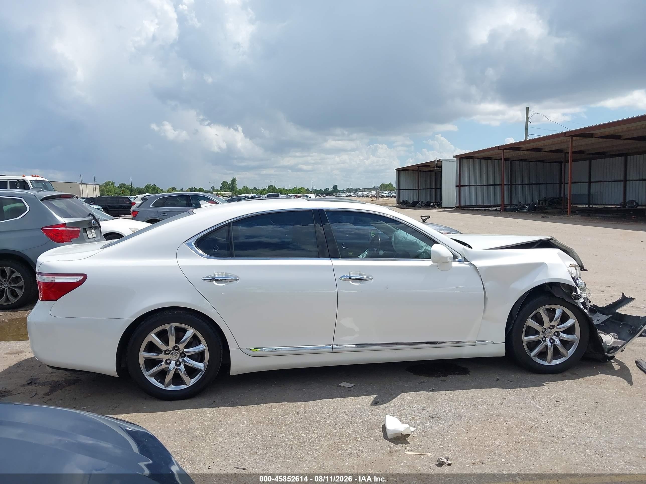 2009 Lexus Ls 460   White vin: JTHBL46F695087257