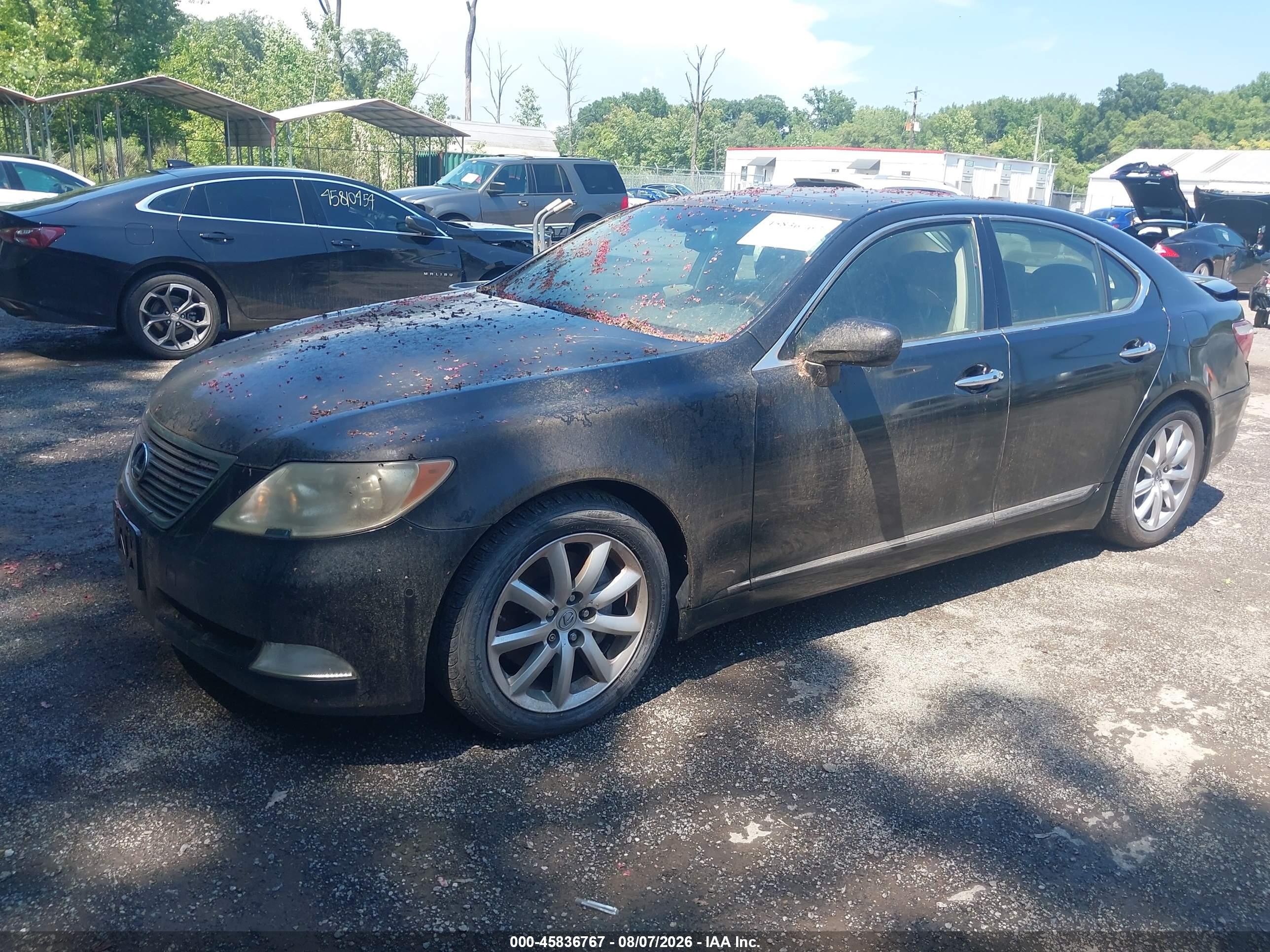 2008 Lexus Ls 460   Черный vin: JTHBL46F885077845
