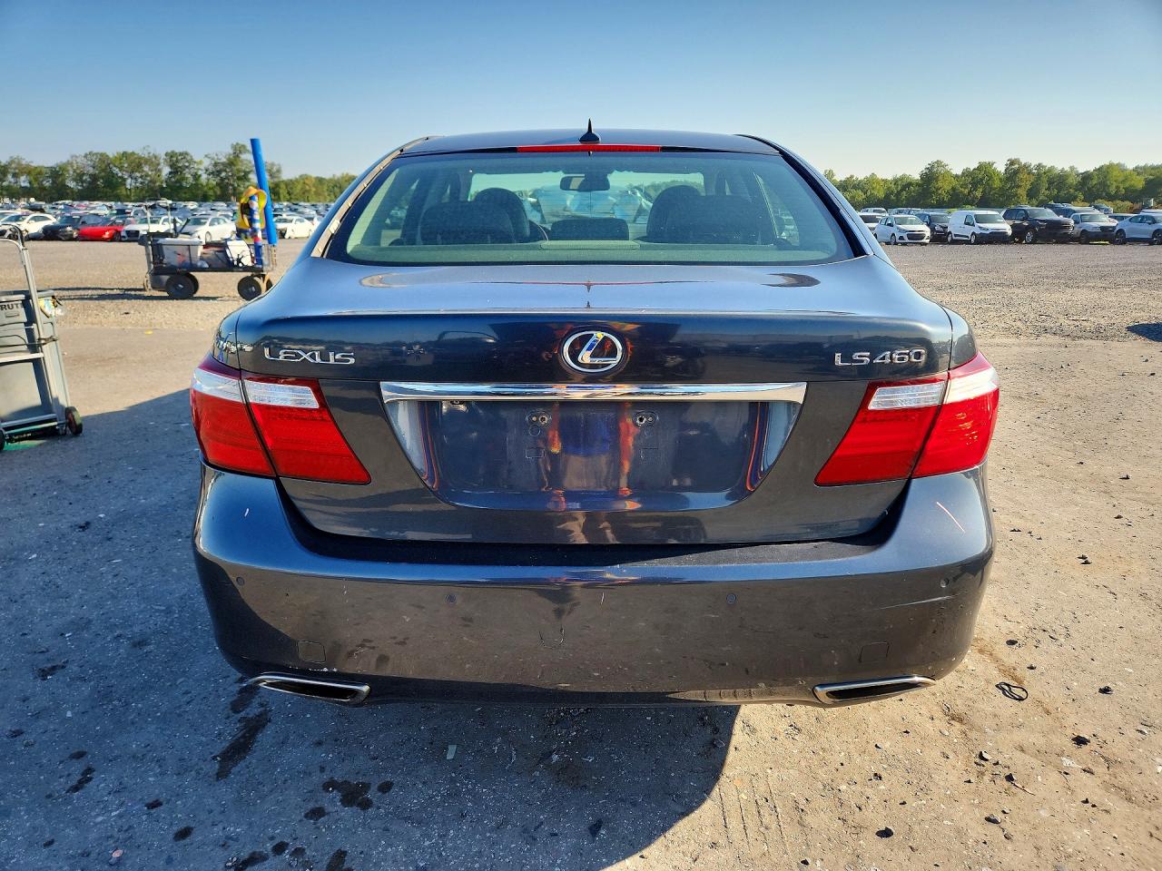 2008 Lexus Ls 460 Серый vin: JTHBL46F985078891